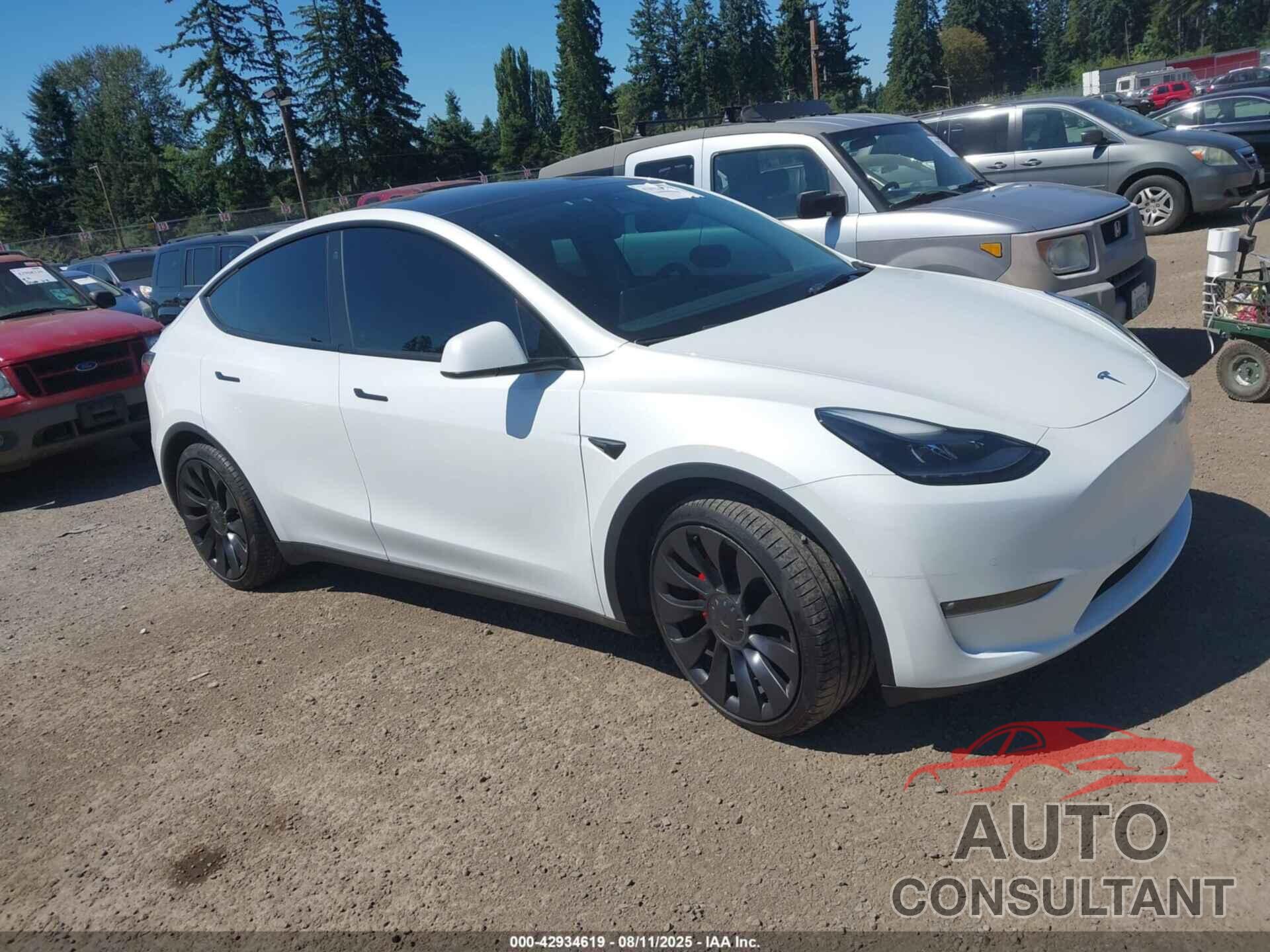 TESLA MODEL Y 2023 - 7SAYGDEF2PF580000