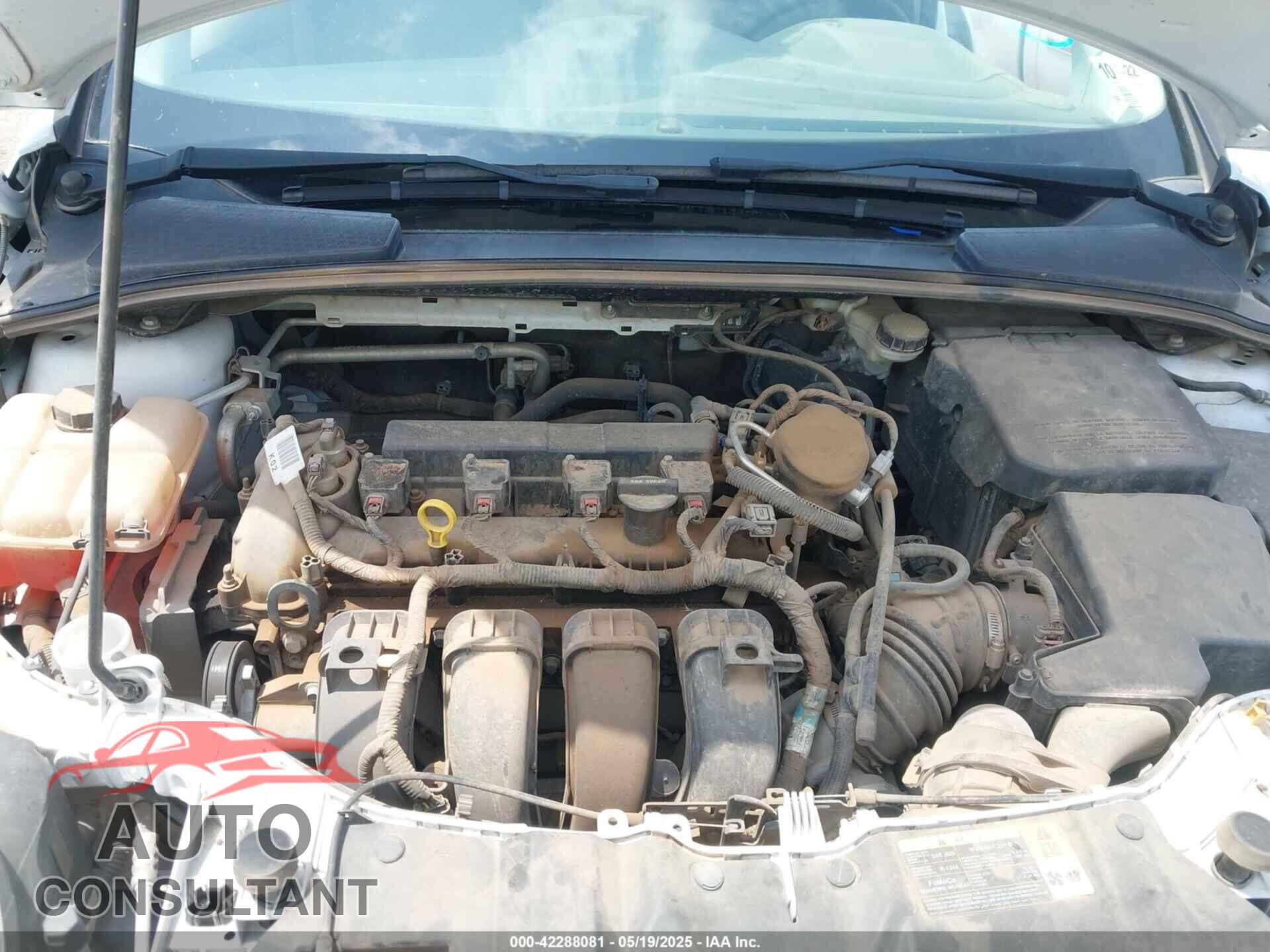 FORD FOCUS 2014 - 1FADP3F23EL258029