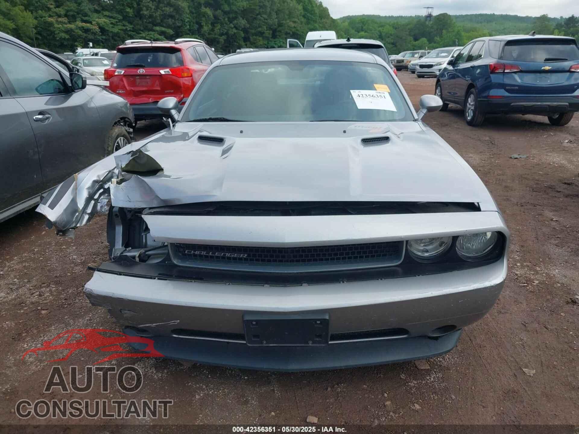 DODGE CHALLENGER 2013 - 2C3CDYAG4DH596358
