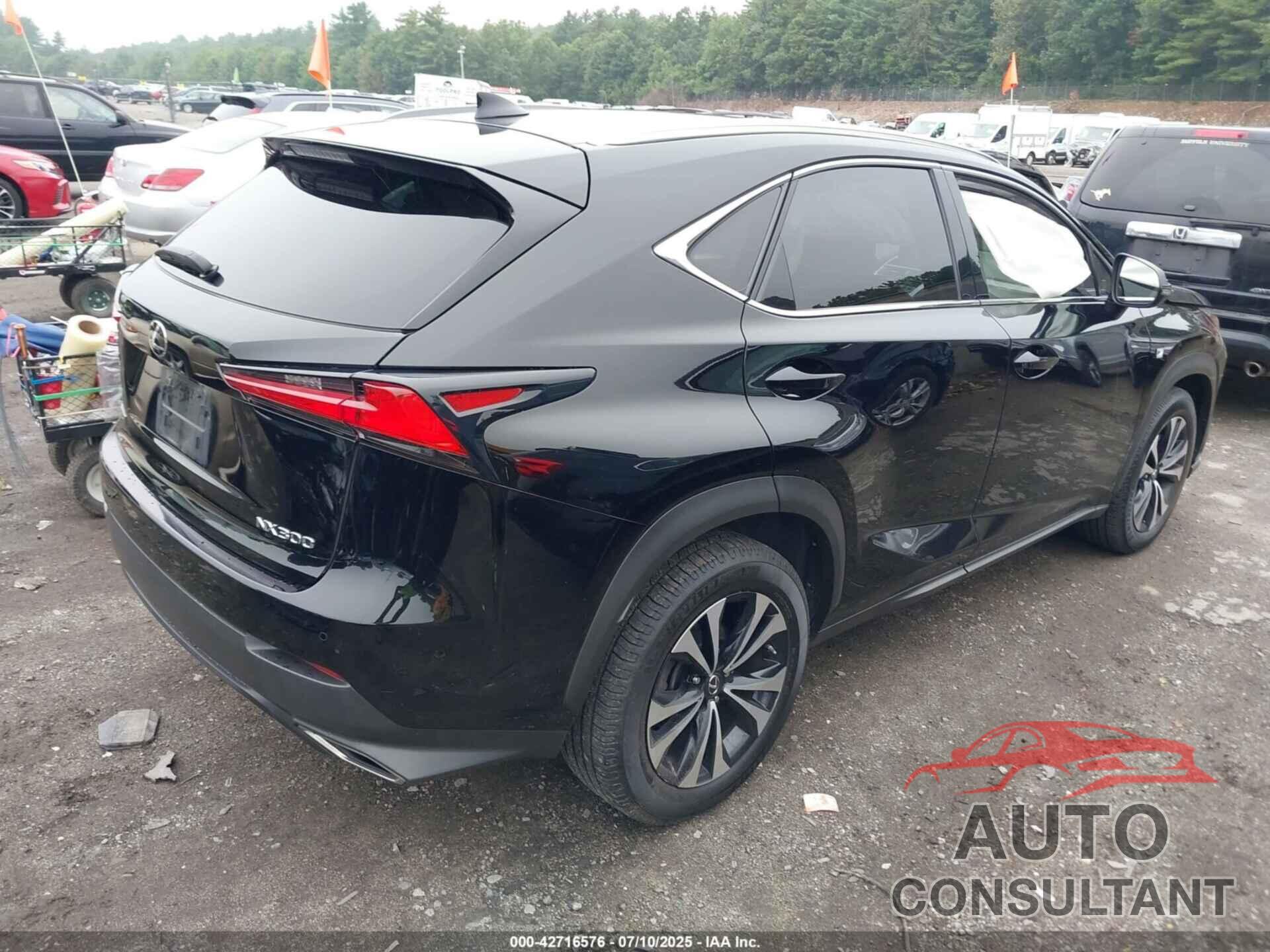 LEXUS NX 300 2020 - JTJSARDZ9L5008931