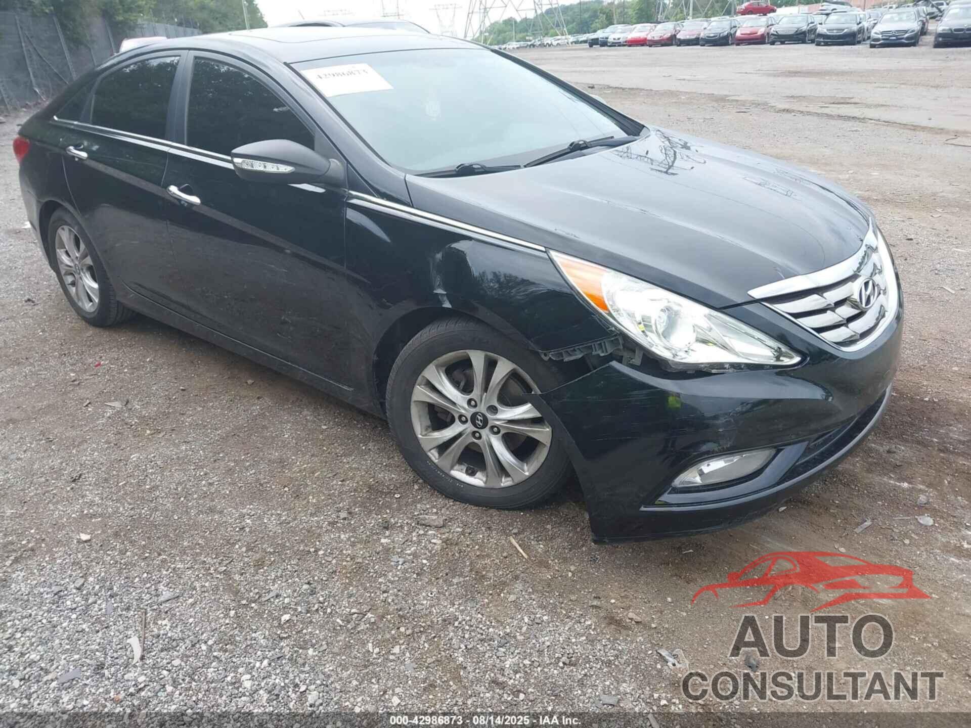 HYUNDAI SONATA 2011 - 5NPEC4AC7BH018109