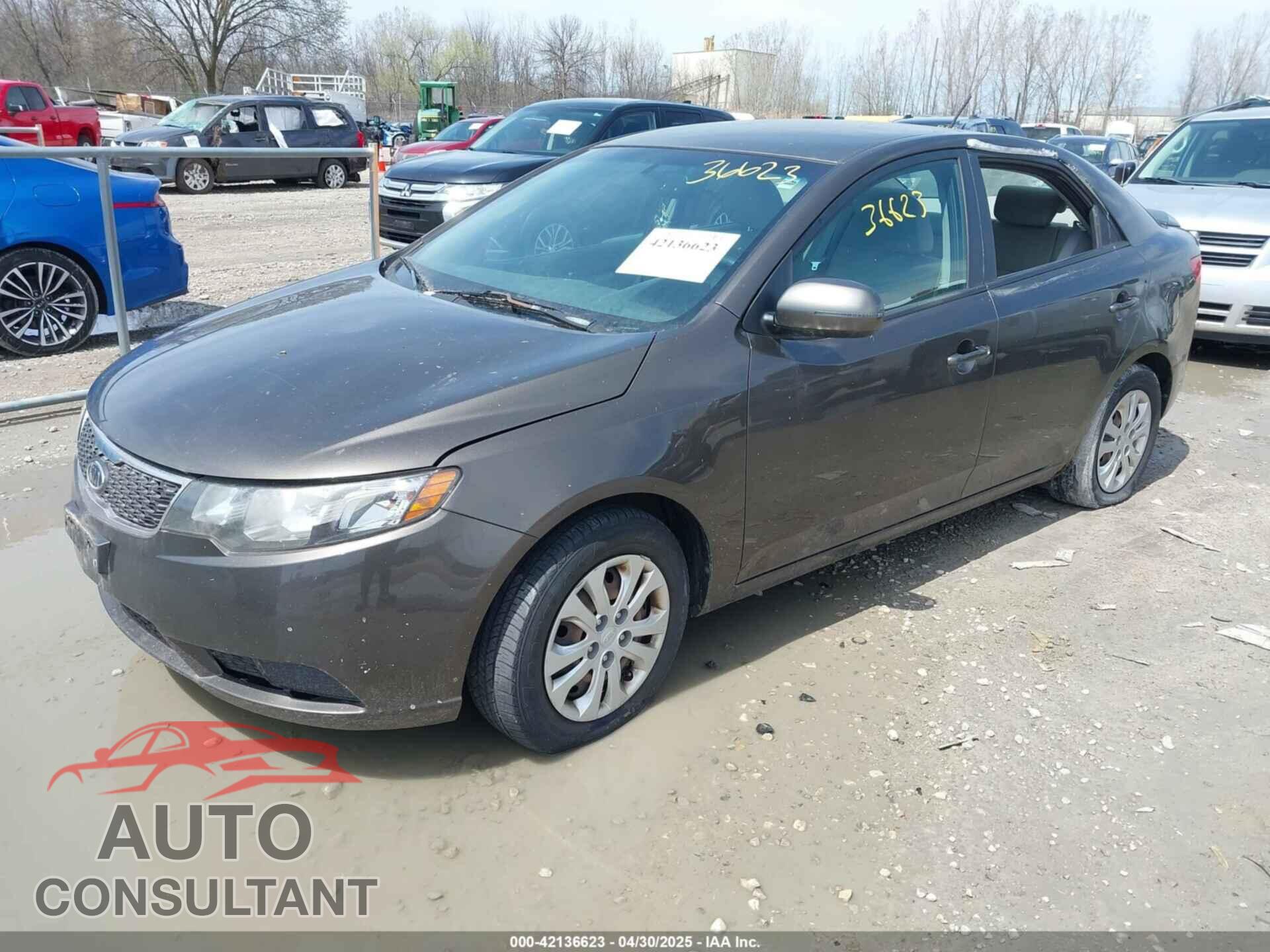 KIA FORTE 2012 - KNAFU4A2XC5560702