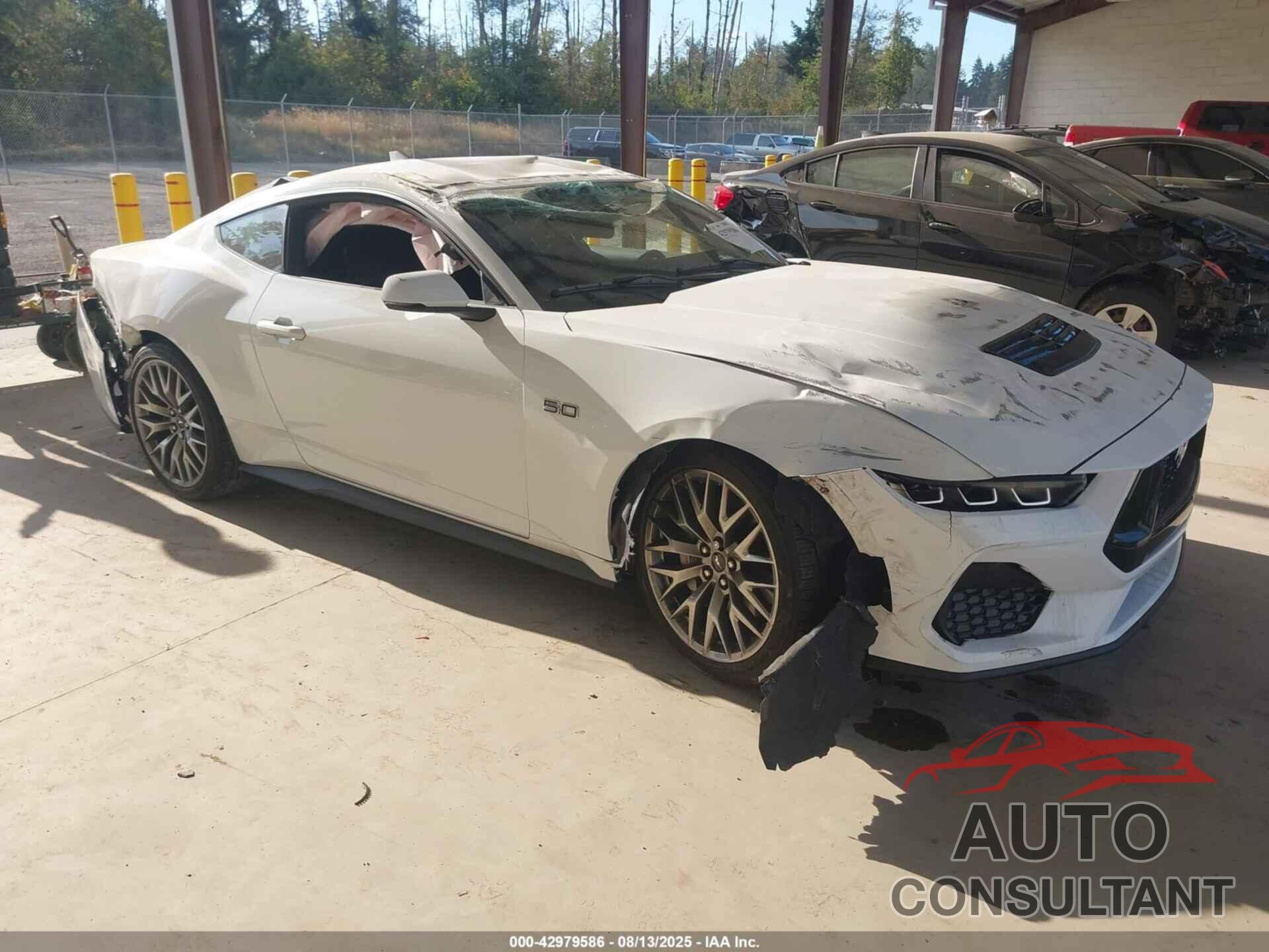 FORD MUSTANG 2024 - 1FA6P8CF9R5434802