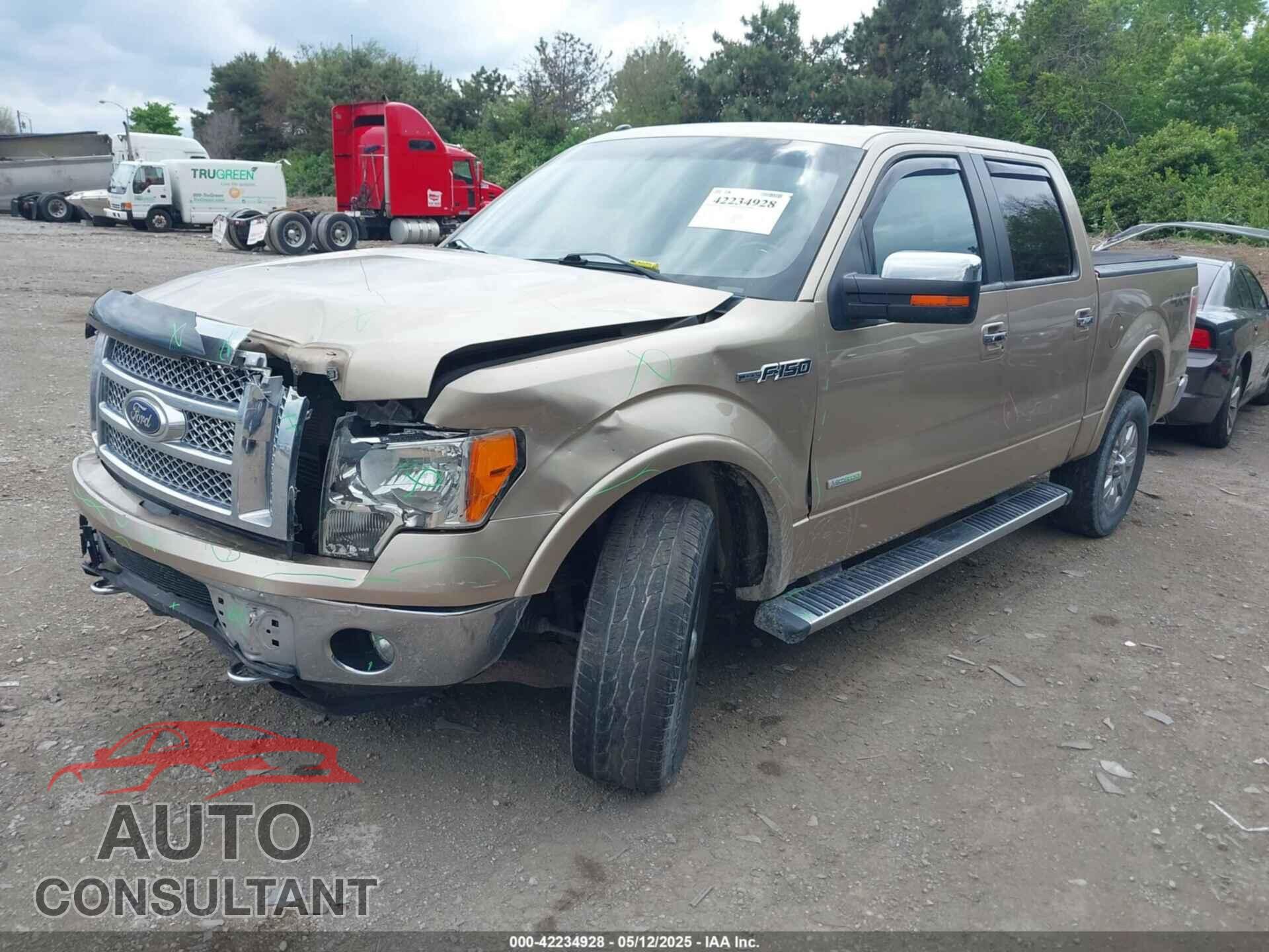 FORD F-150 2012 - 1FTFW1ET5CFA19193