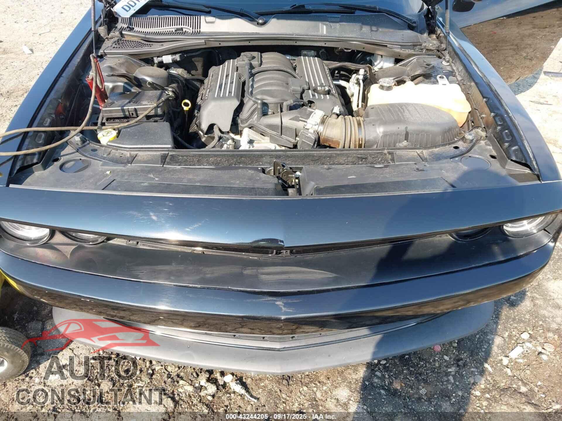 DODGE CHALLENGER 2019 - 2C3CDZFJXKH546491