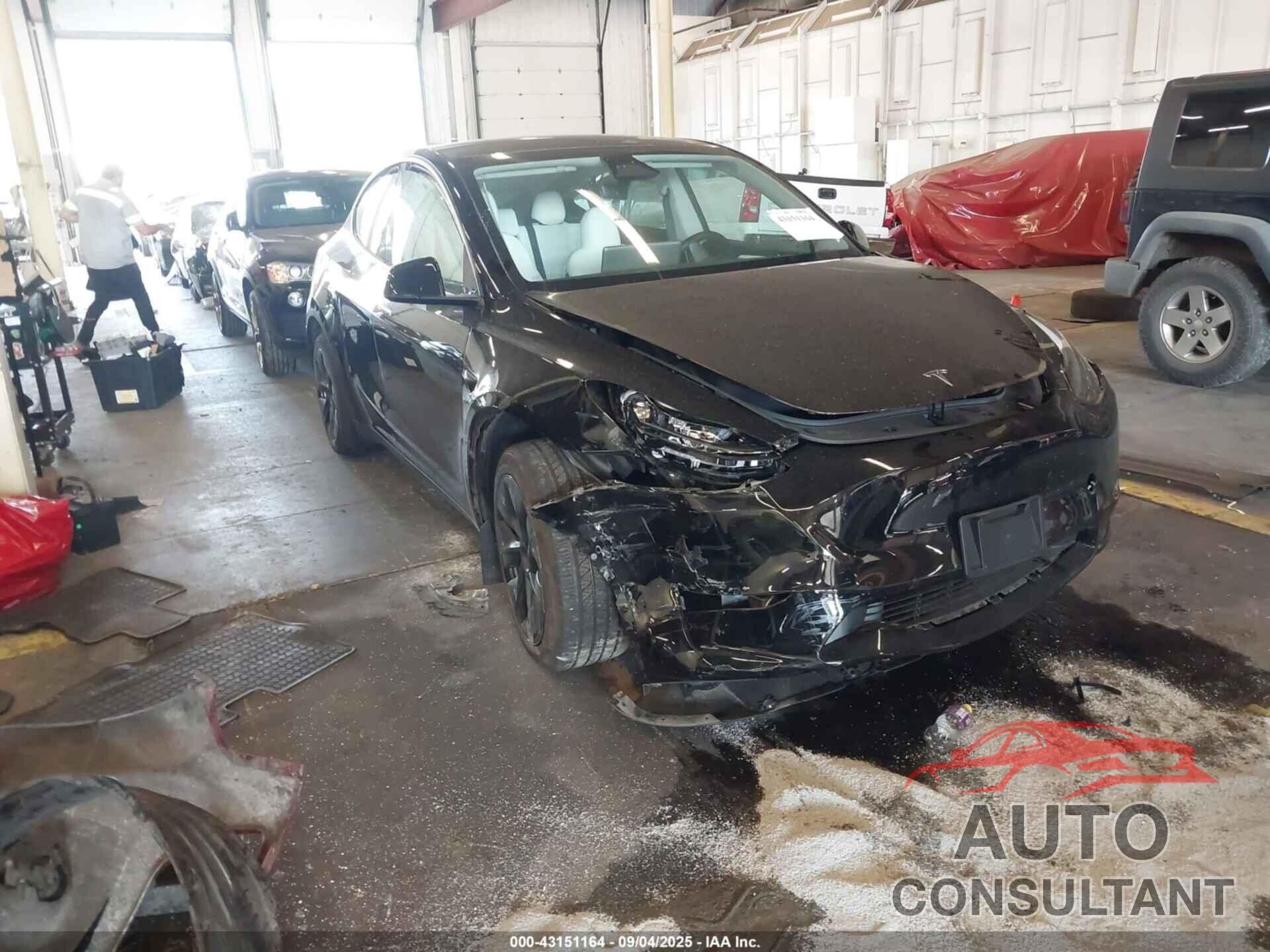 TESLA MODEL Y 2024 - 7SAYGDED6RF155994