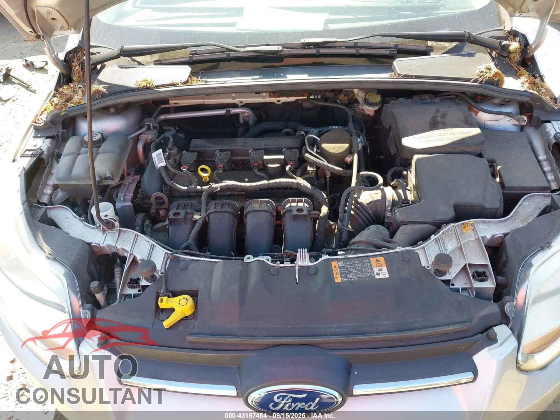 FORD FOCUS 2014 - 1FADP3F2XEL378023