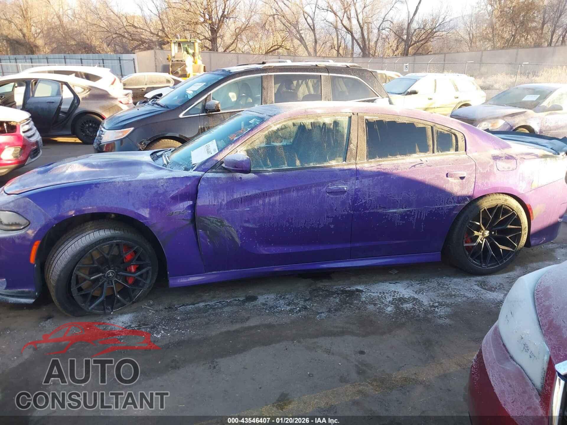 DODGE CHARGER 2019 - 2C3CDXGJ2KH531017