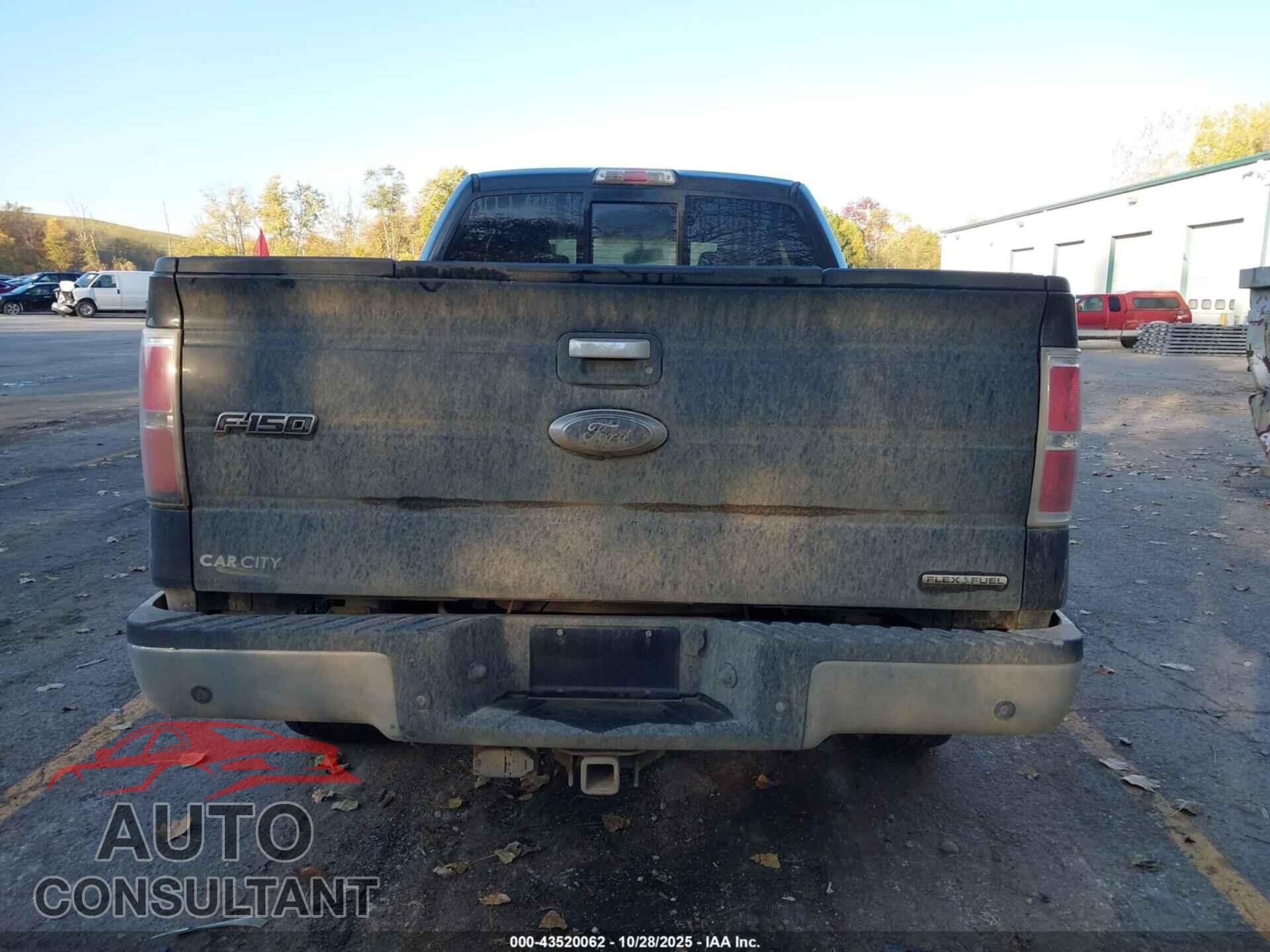 FORD F-150 2013 - 1FTFX1CF7DFD01864