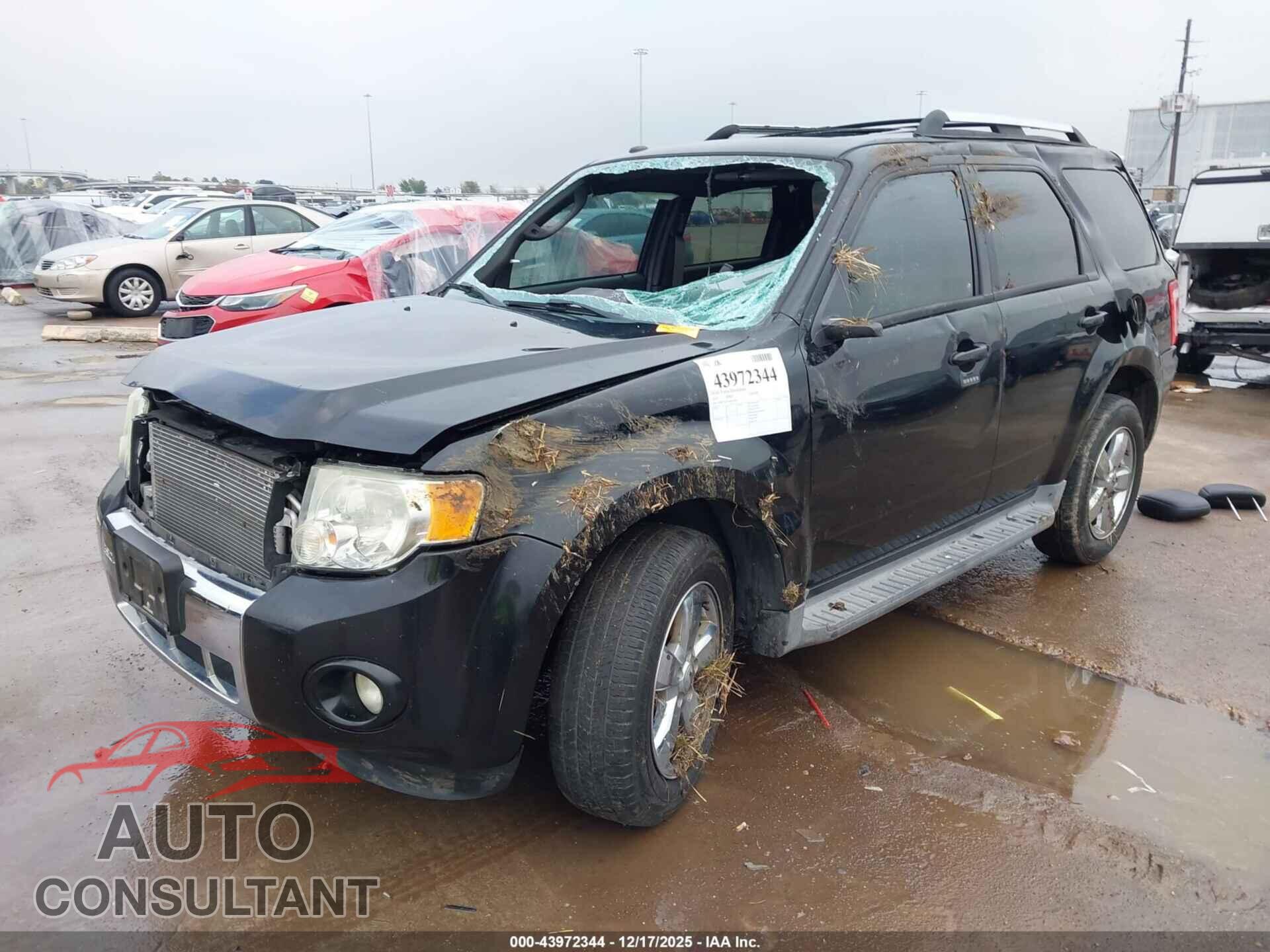 FORD ESCAPE 2010 - 1FMCU0EG7AKD10896