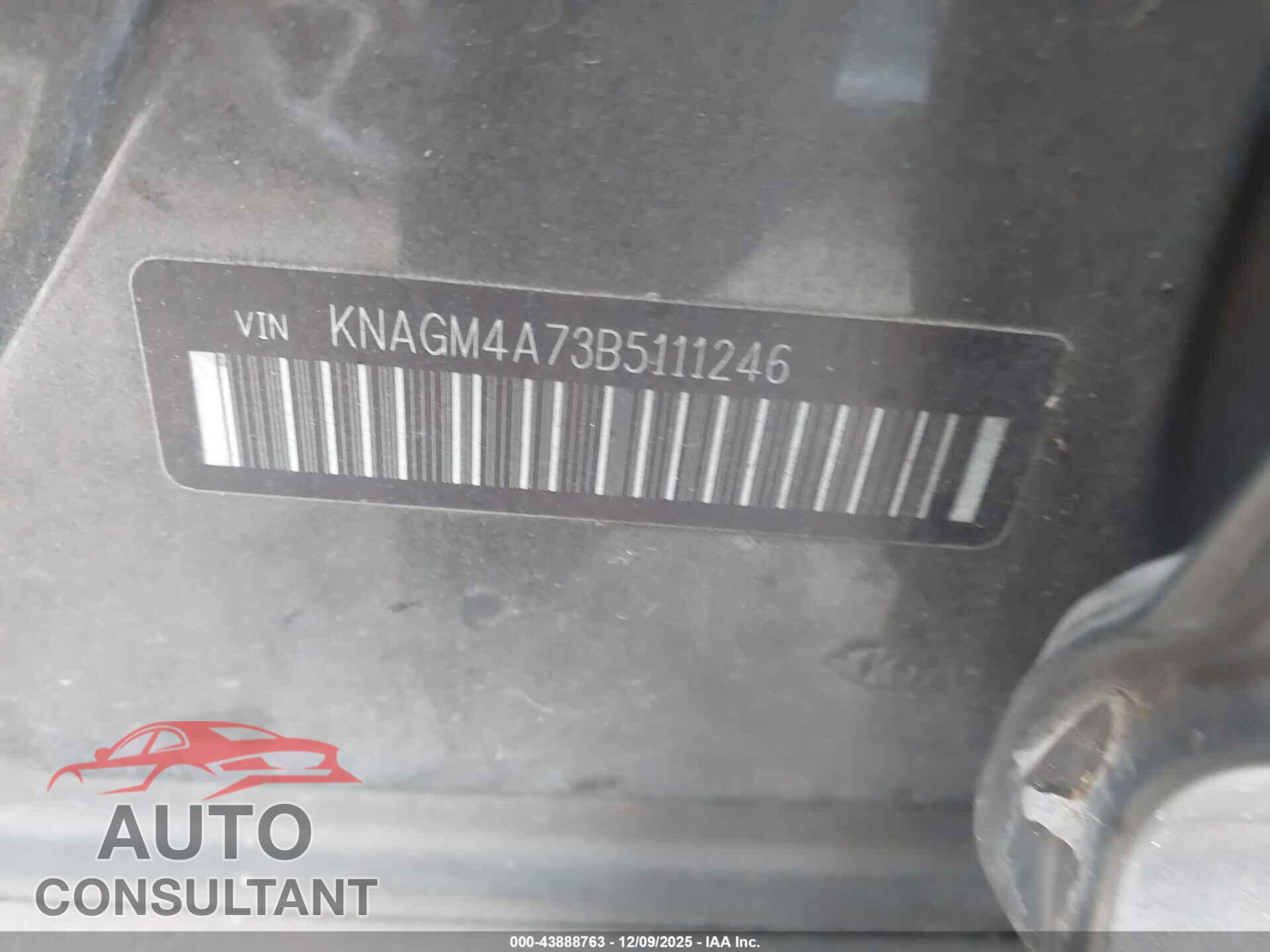 KIA OPTIMA 2011 - KNAGM4A73B5111246
