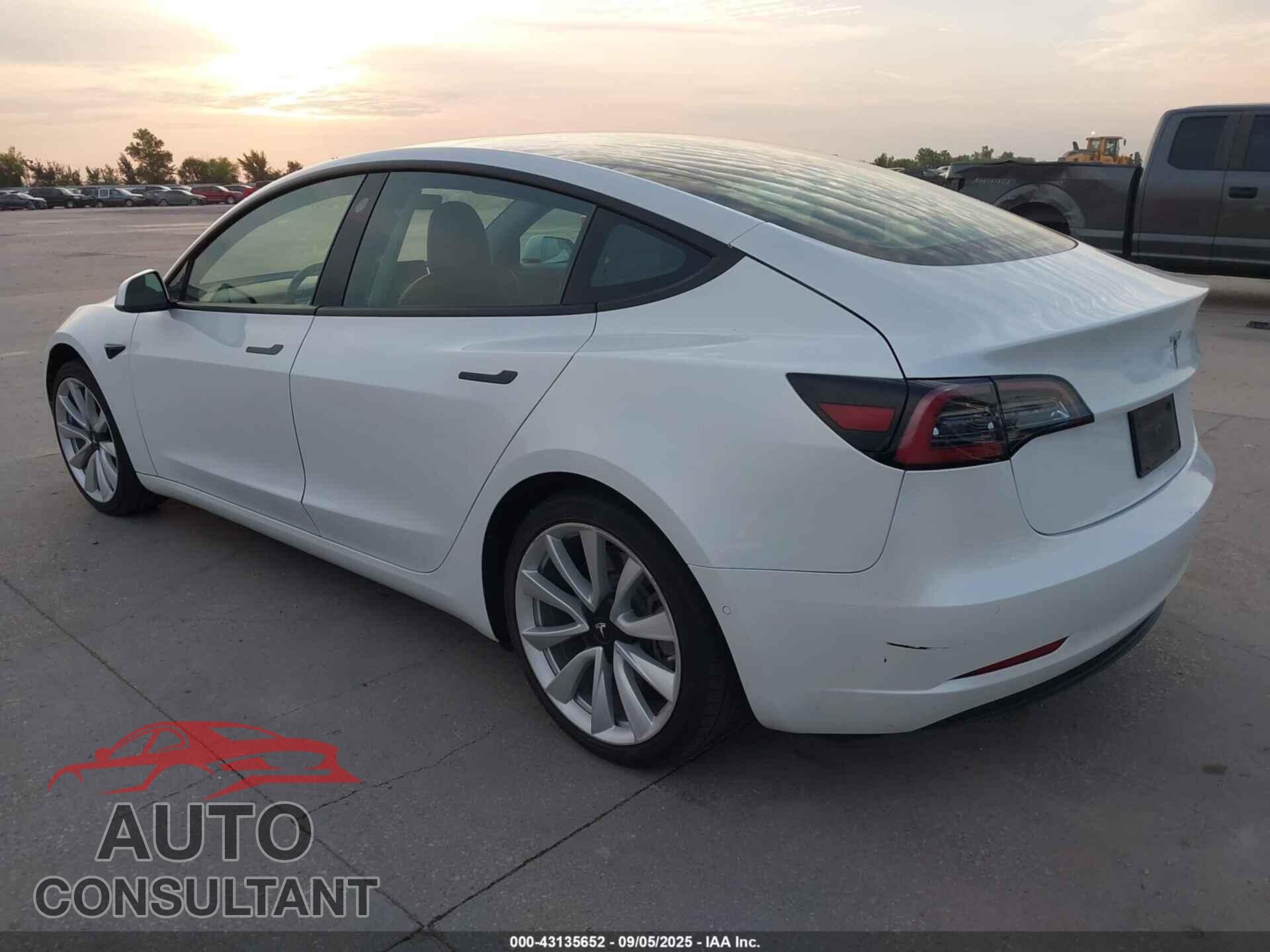 TESLA MODEL 3 2021 - 5YJ3E1EA3MF913476