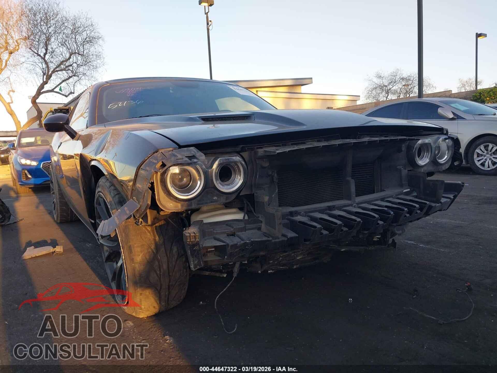 DODGE CHALLENGER 2019 - 2C3CDZGG4KH616666