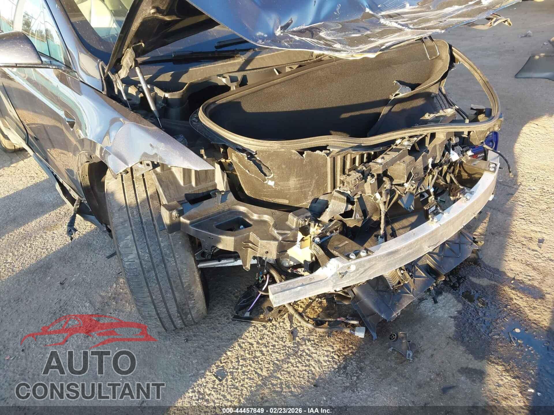 TESLA MODEL X 2024 - 7SAXCBE66RF446993