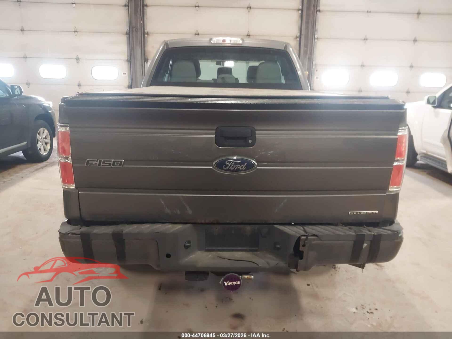 FORD F-150 2013 - 1FTFX1EF3DFD11157