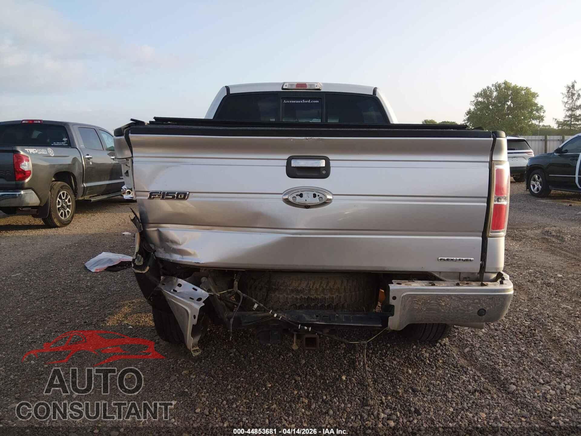 FORD F-150 2013 - 1FTFW1EF4DFD92995