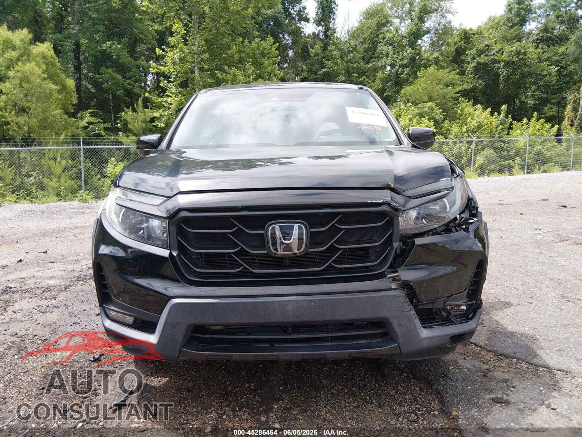 HONDA RIDGELINE 2021 - 5FPYK3F15MB002503