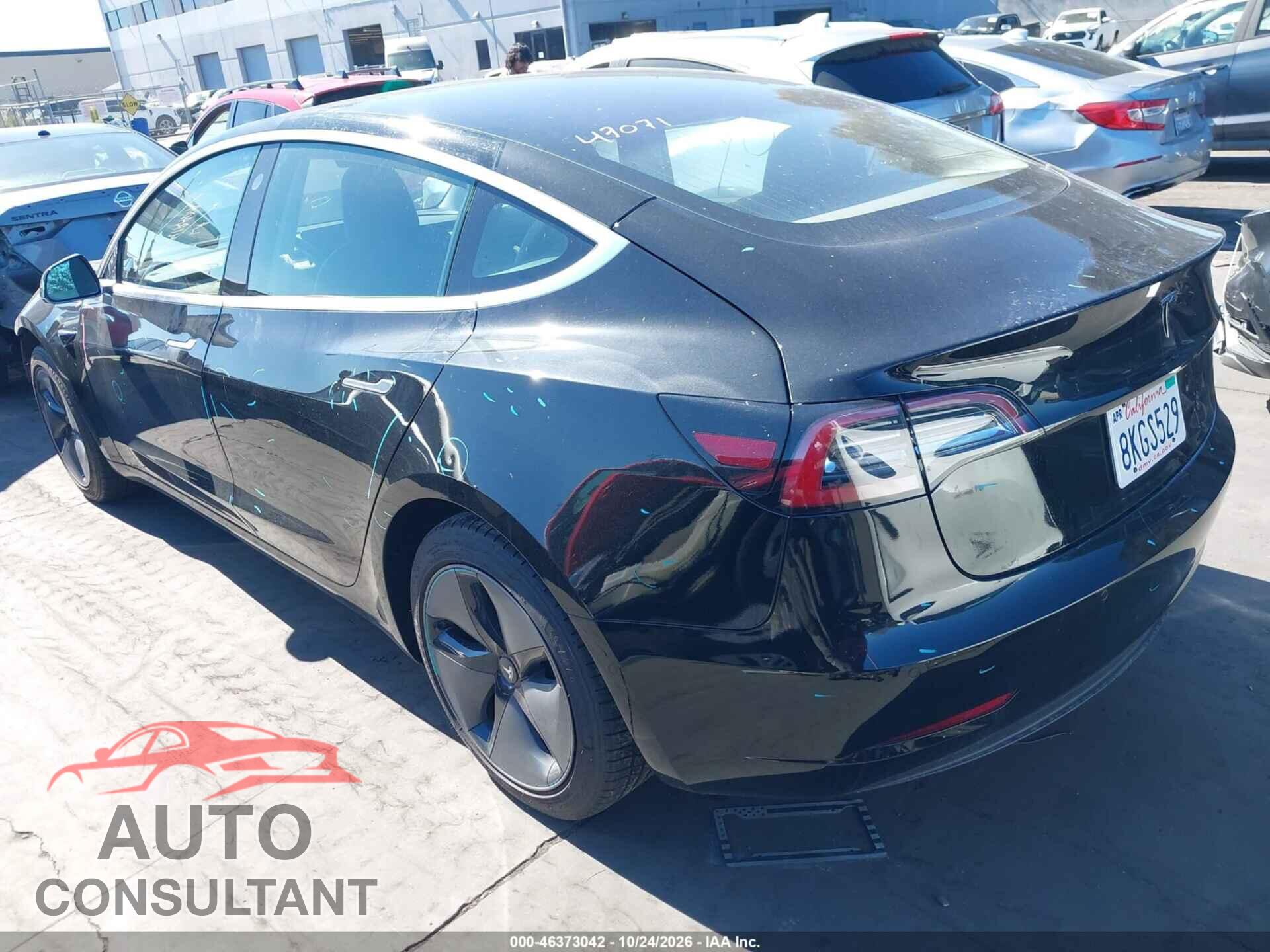TESLA MODEL 3 2019 - 5YJ3E1EAXKF304706