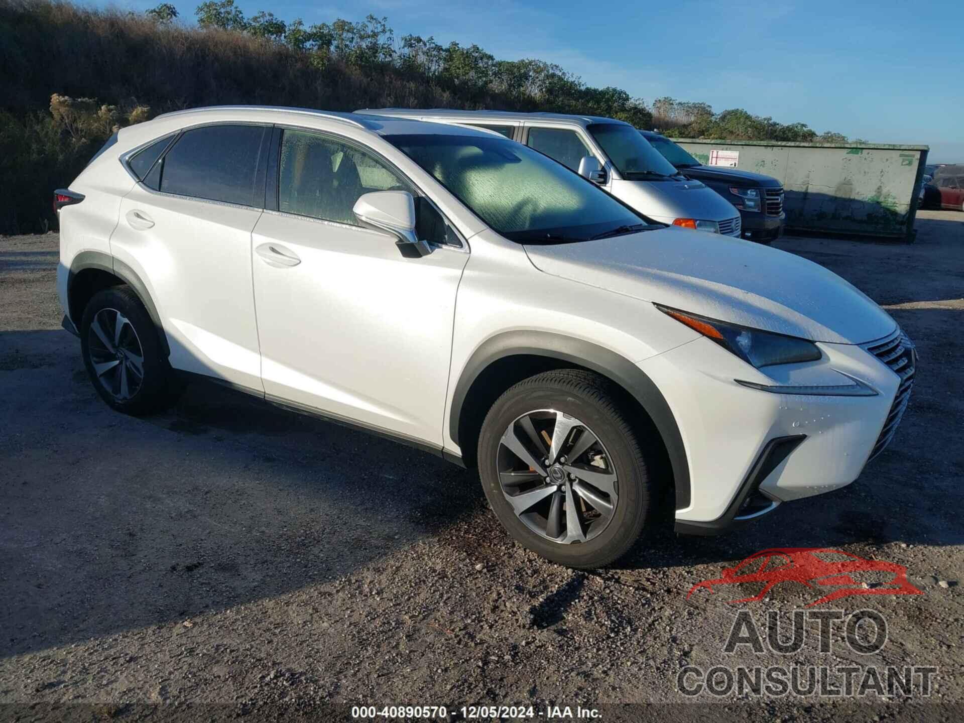 LEXUS NX 300 2019 - JTJYARBZ9K2141881