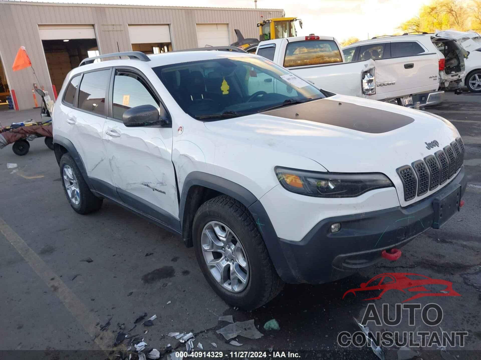 JEEP CHEROKEE 2019 - 1C4PJMBX8KD313712