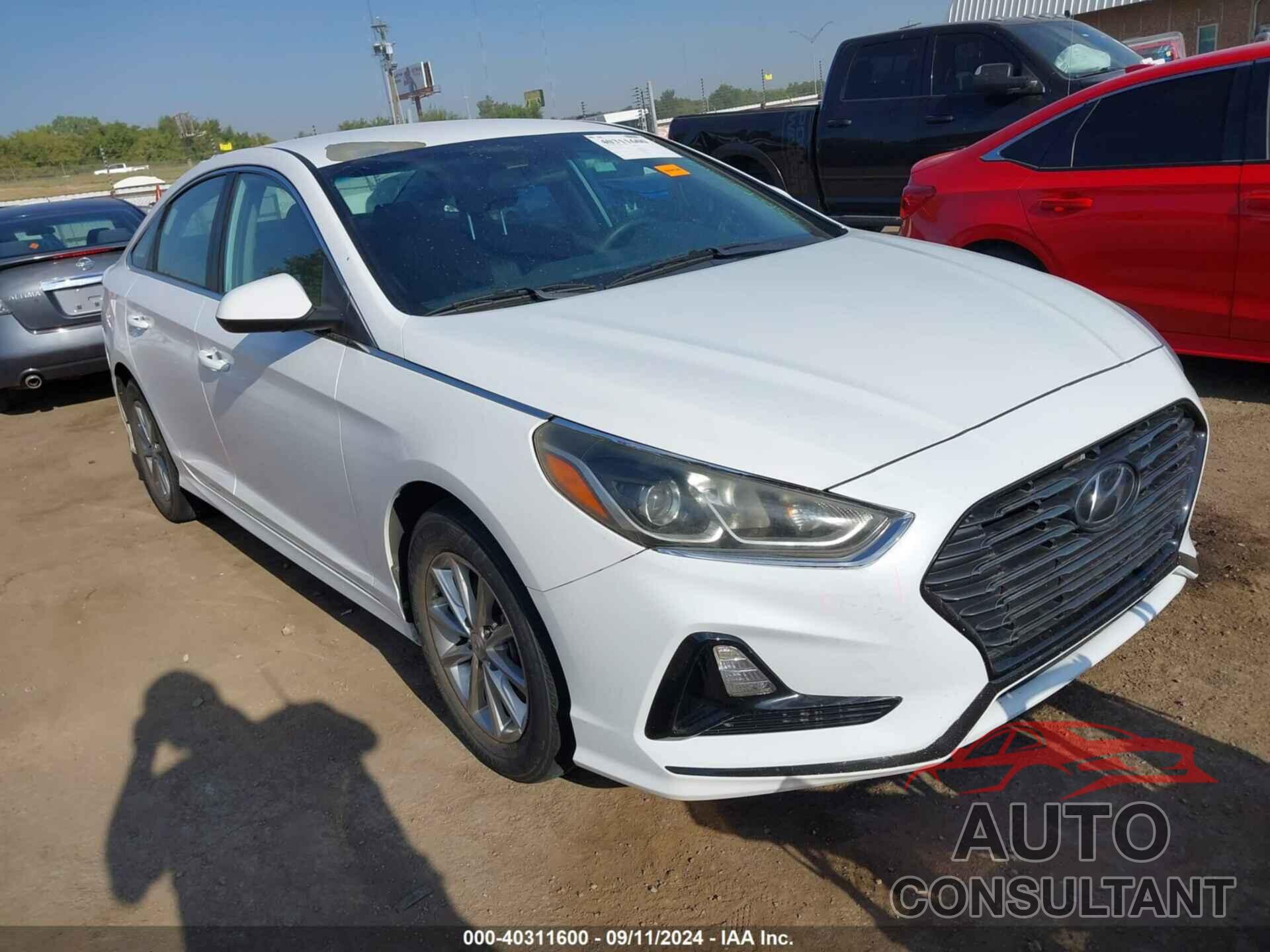 HYUNDAI SONATA 2019 - 5NPE24AF0KH781568