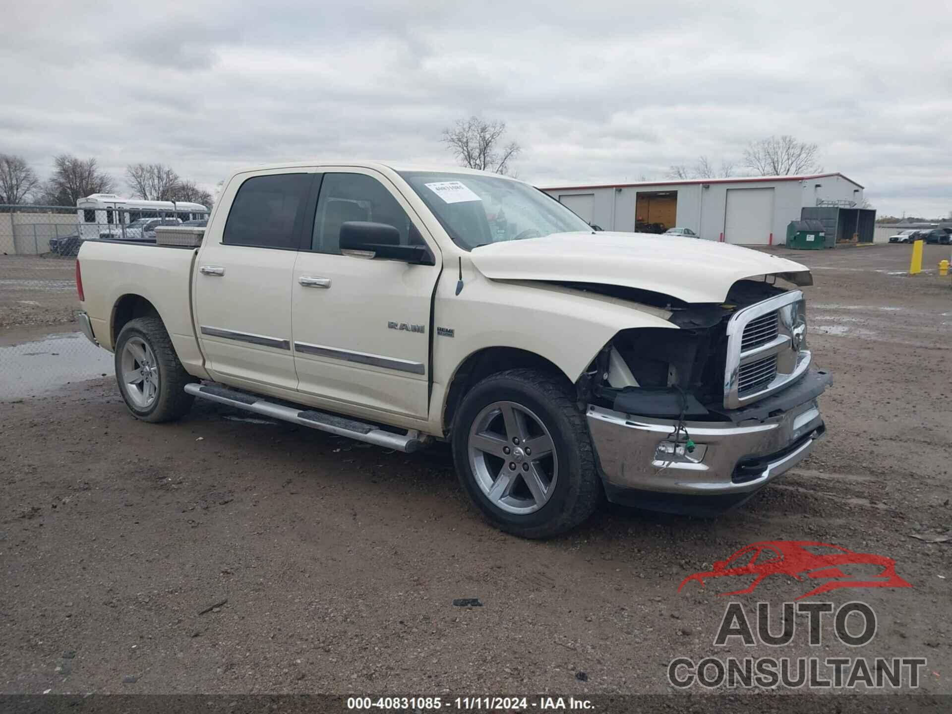 DODGE RAM 1500 2010 - 1D7RV1CT7AS234023