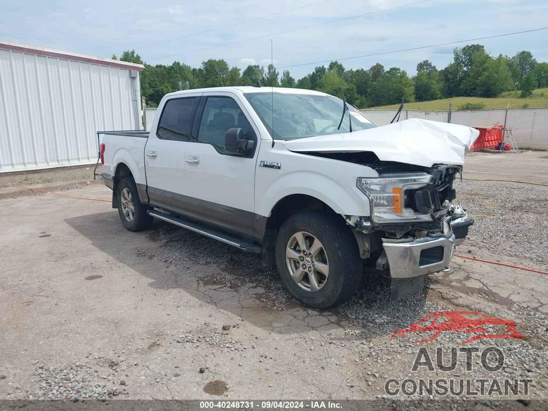 FORD F-150 2019 - 1FTEW1EPXKFB35387