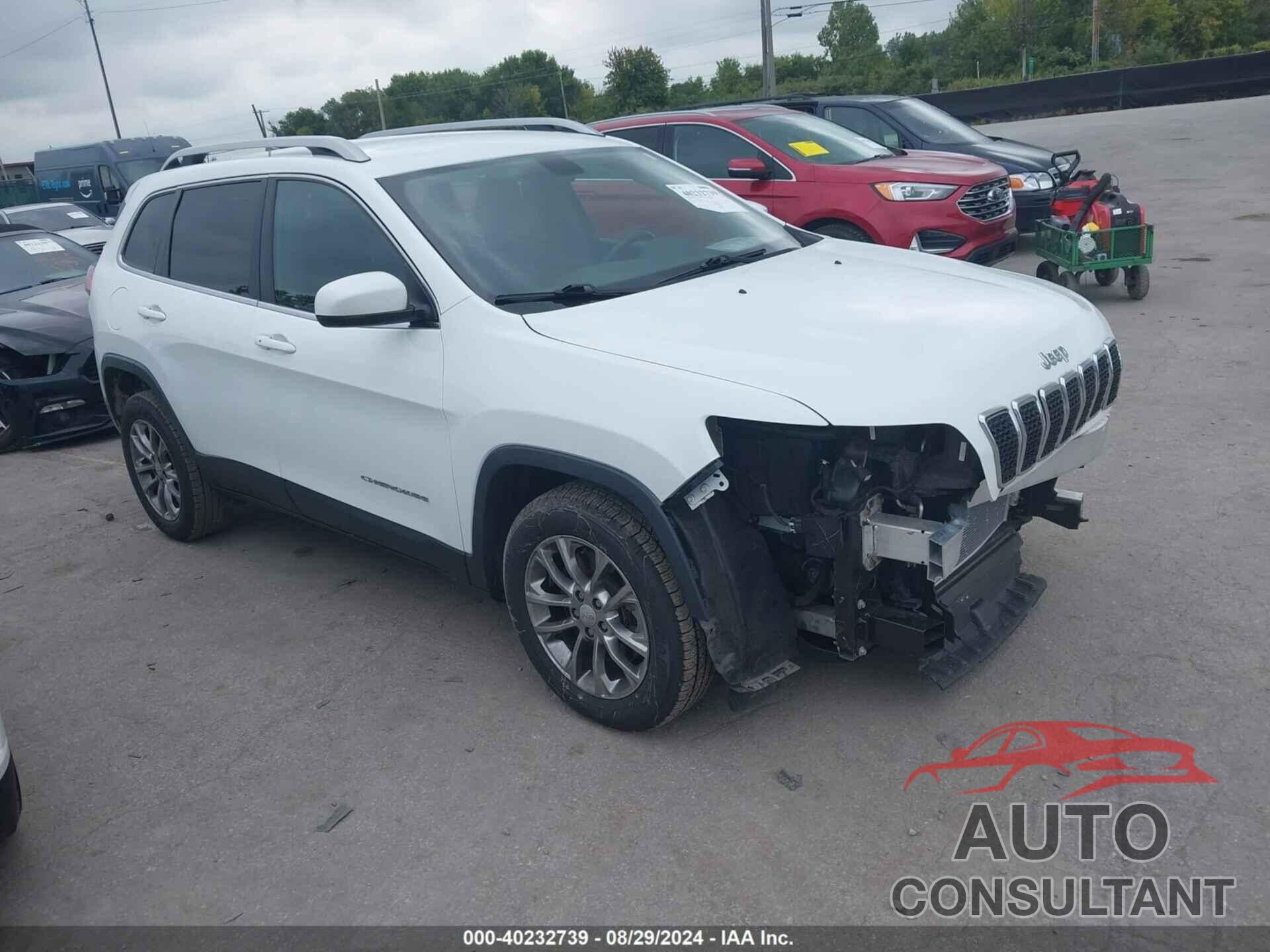 JEEP CHEROKEE 2019 - 1C4PJLLB1KD109685