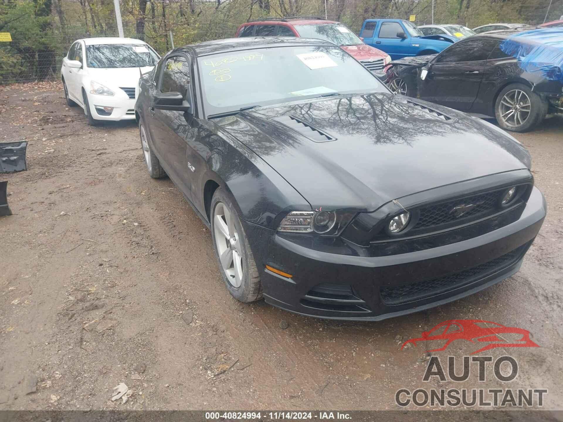 FORD MUSTANG 2014 - 1ZVBP8CF8E5283855