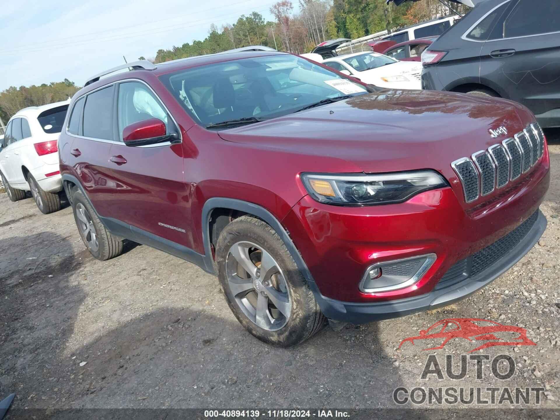 JEEP CHEROKEE 2019 - 1C4PJMDN6KD267566