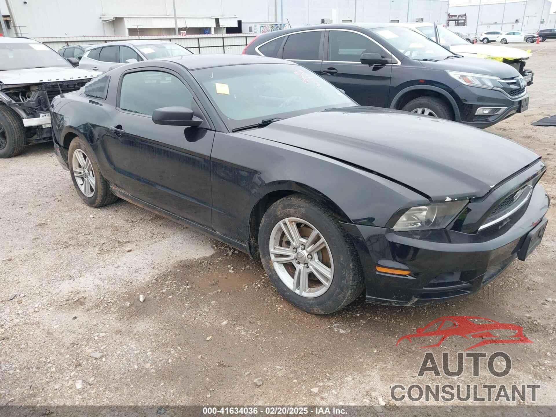 FORD MUSTANG 2014 - 1ZVBP8AM9E5250123