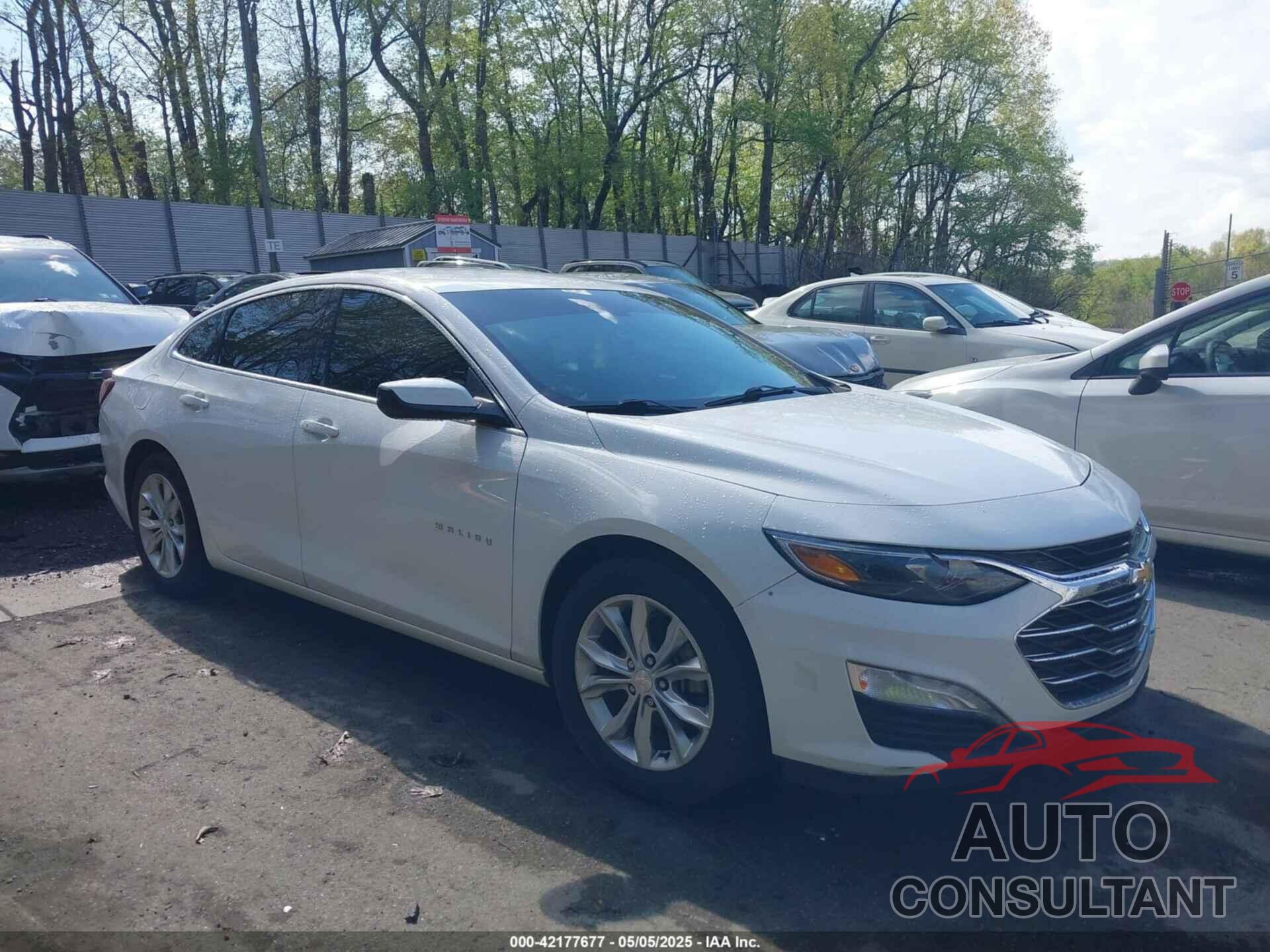CHEVROLET MALIBU 2020 - 1G1ZD5ST7LF006002