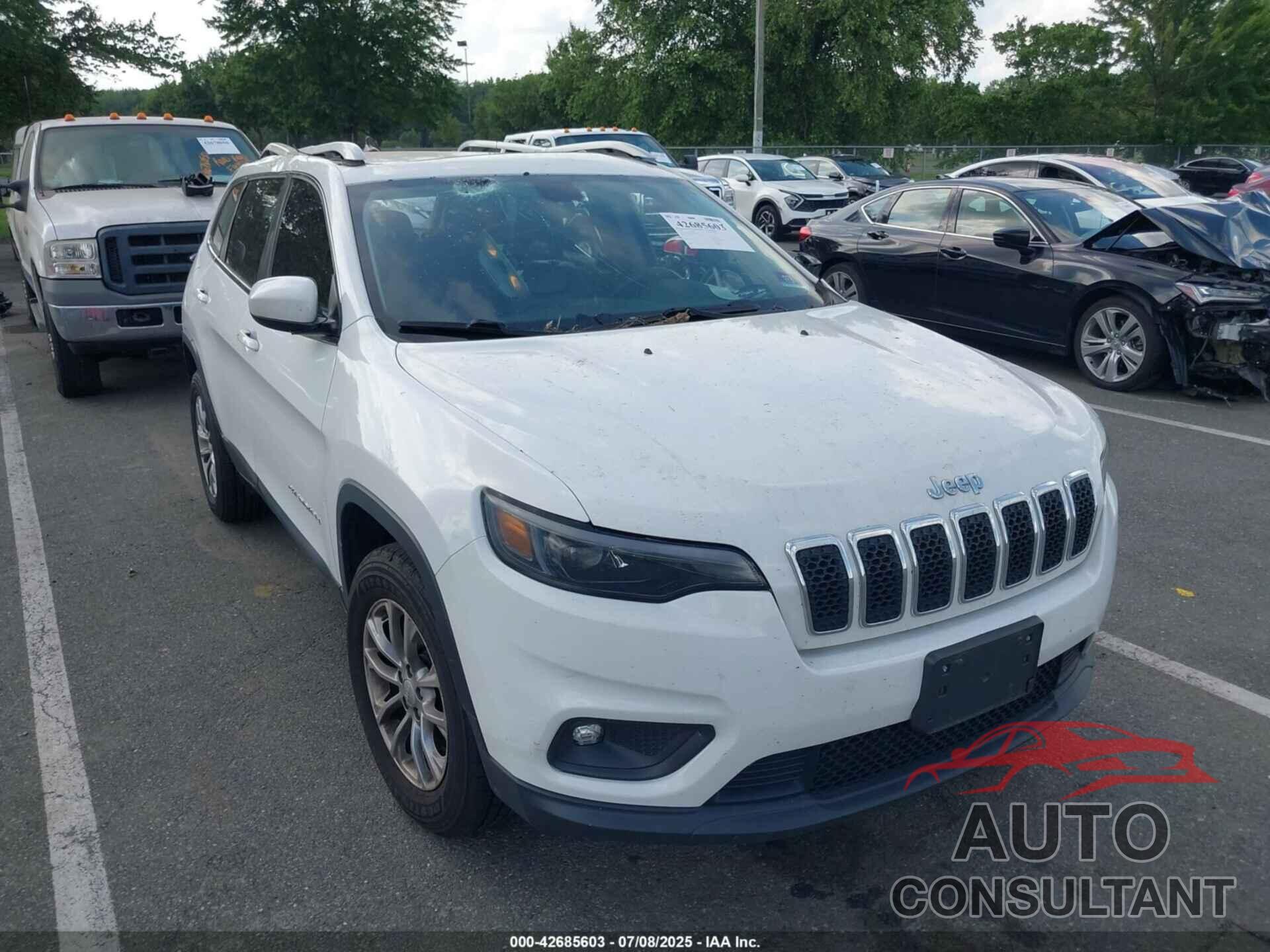JEEP CHEROKEE 2019 - 1C4PJMLB1KD199250