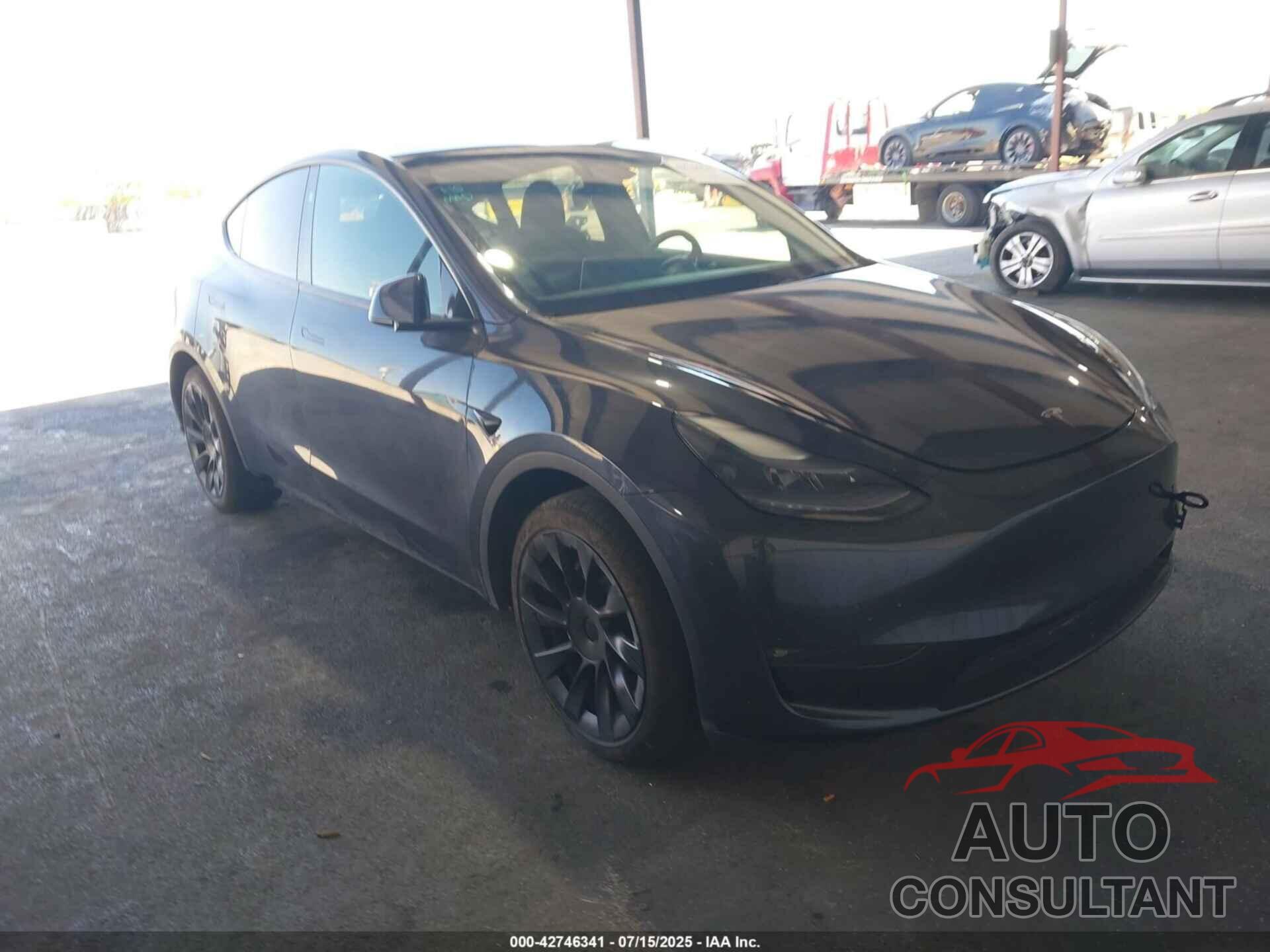 TESLA MODEL Y 2024 - 7SAYGAEE0RF119404