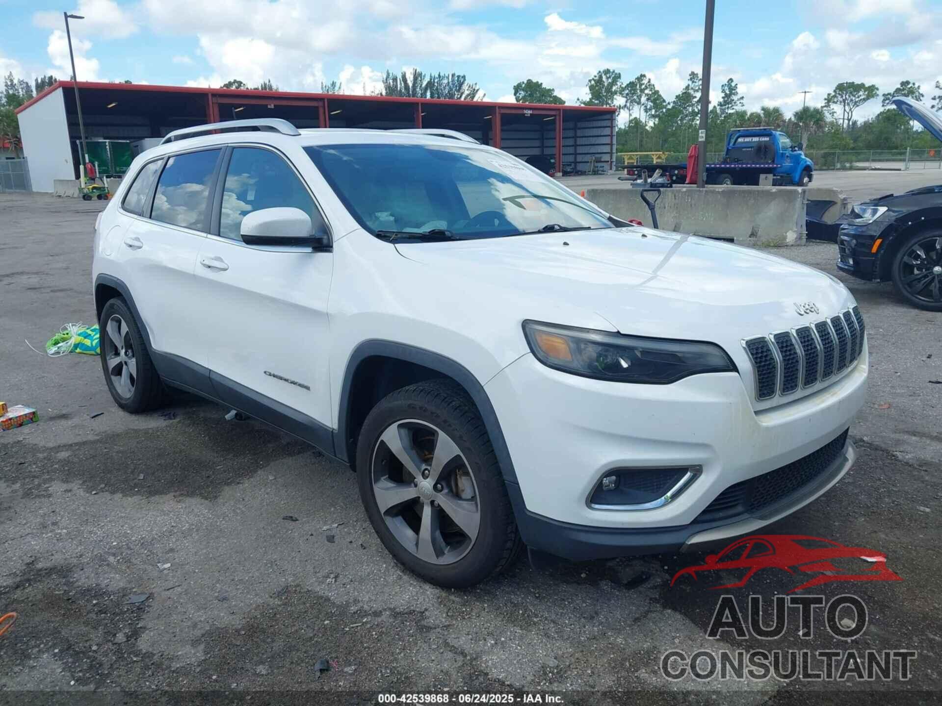 JEEP CHEROKEE 2019 - 1C4PJLDX2KD420634