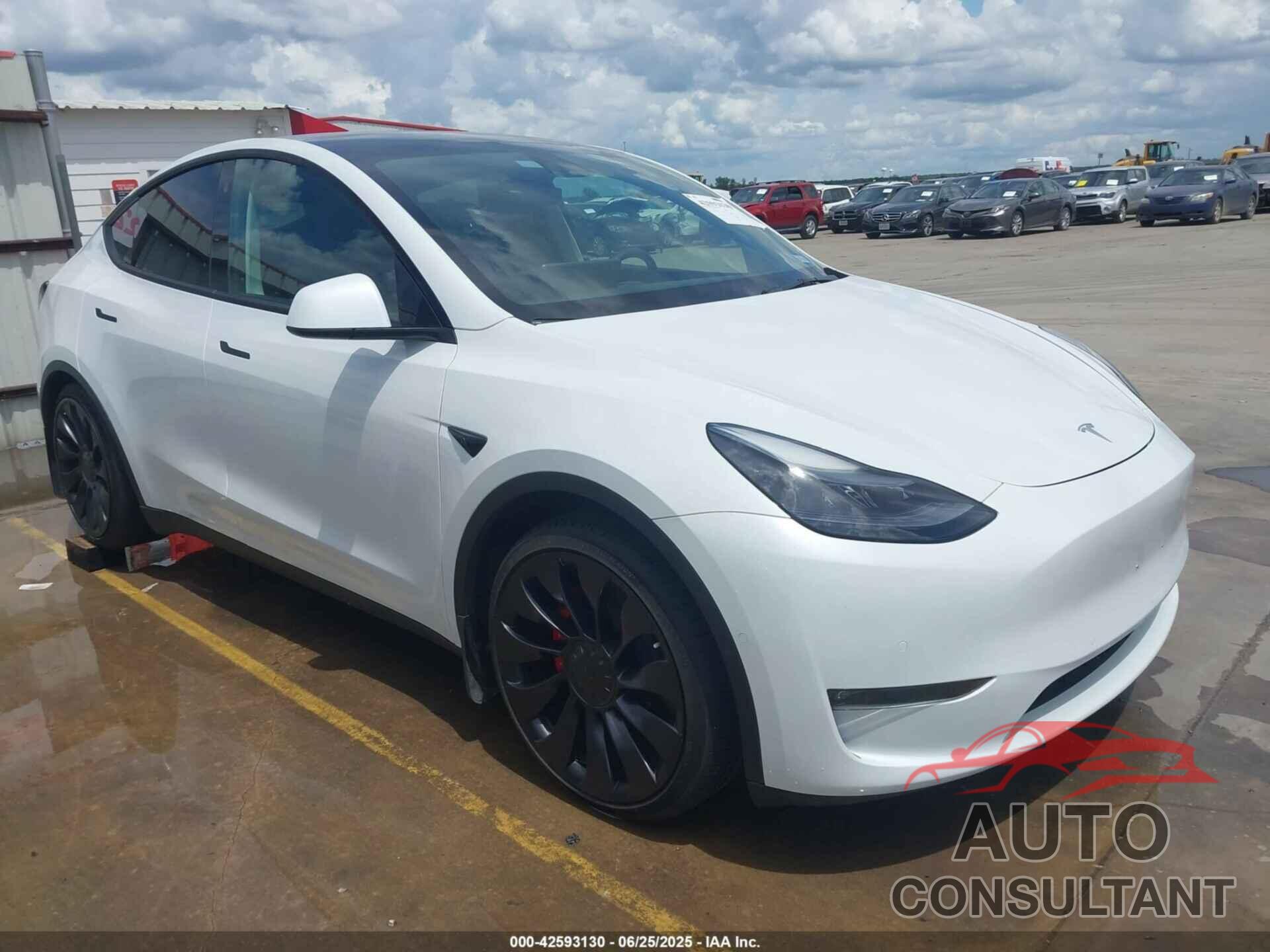 TESLA MODEL Y 2022 - 7SAYGDEF0NF530905