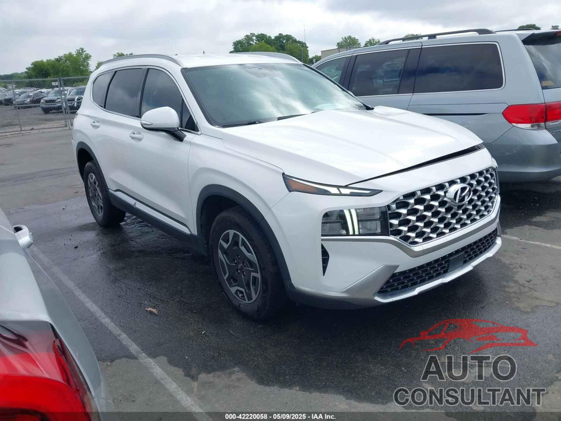 HYUNDAI SANTA FE HYBRID 2022 - KM8S2DA15NU026333