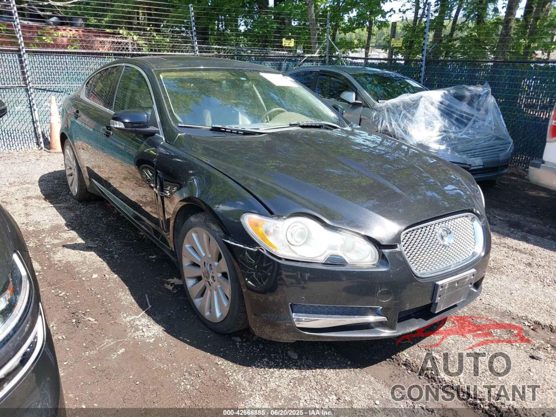 JAGUAR XF 2009 - SAJWA06B99HR32228