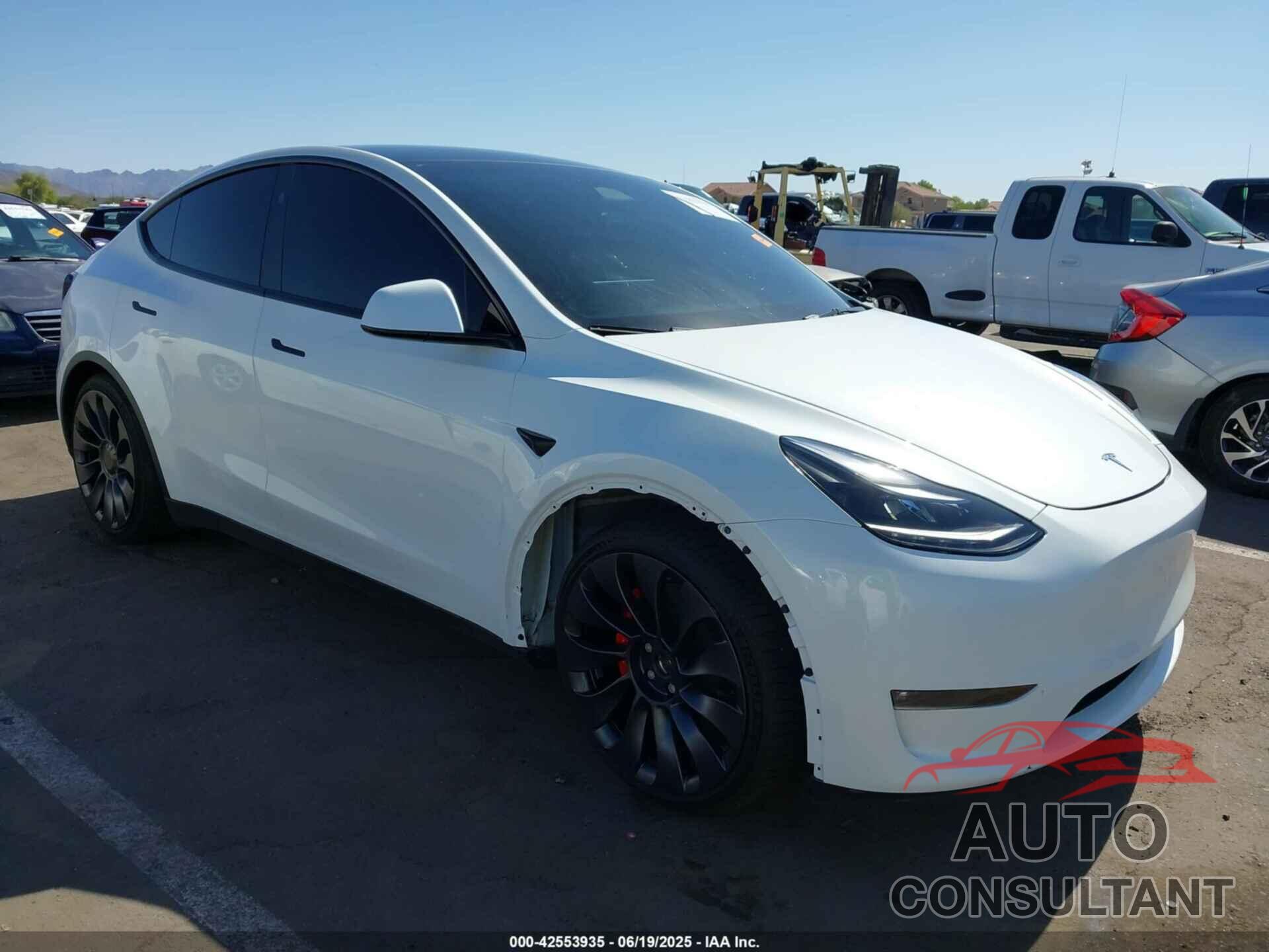 TESLA MODEL Y 2024 - 7SAYGDEF0RF032922