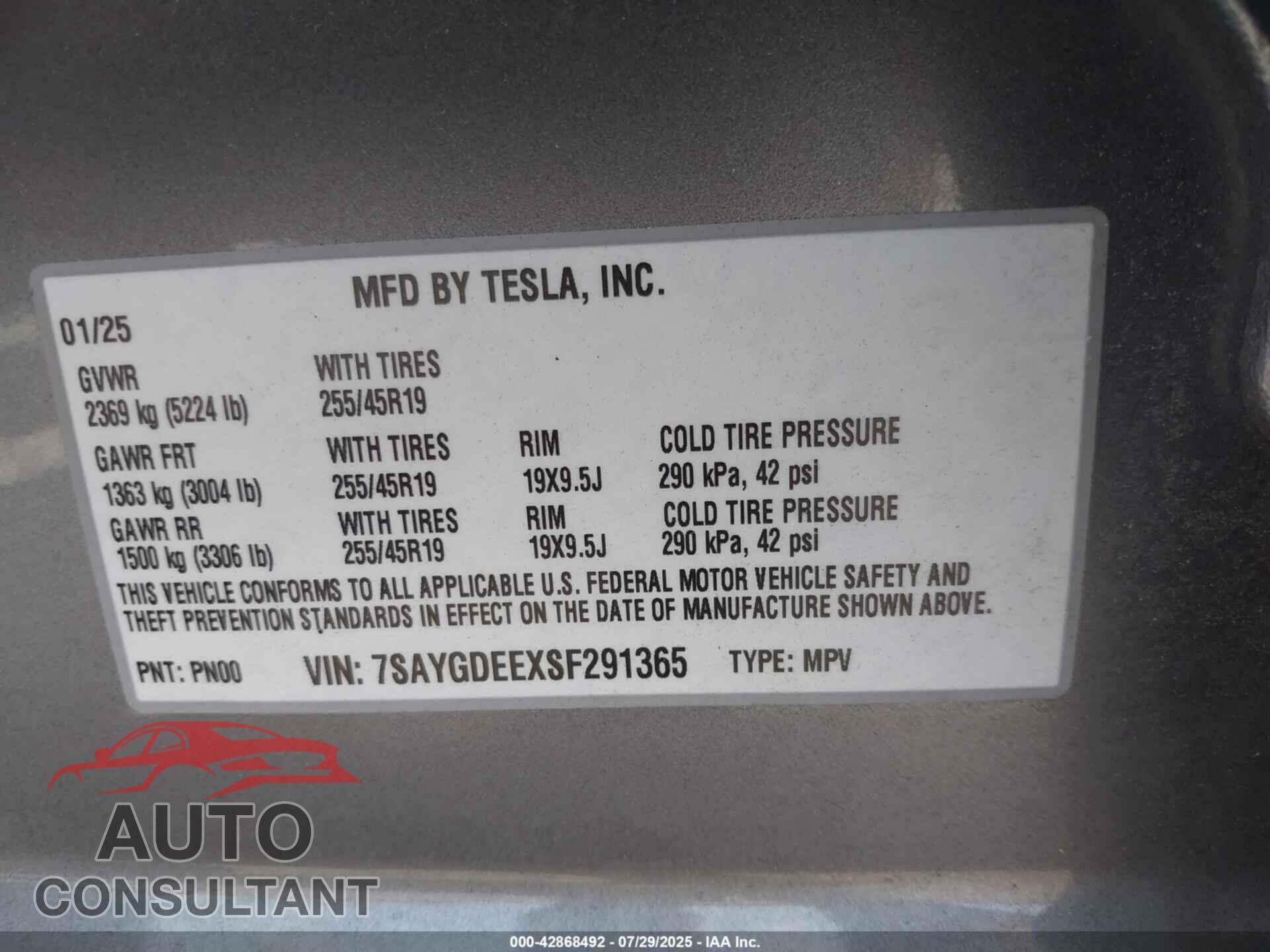 TESLA MODEL Y 2025 - 7SAYGDEEXSF291365