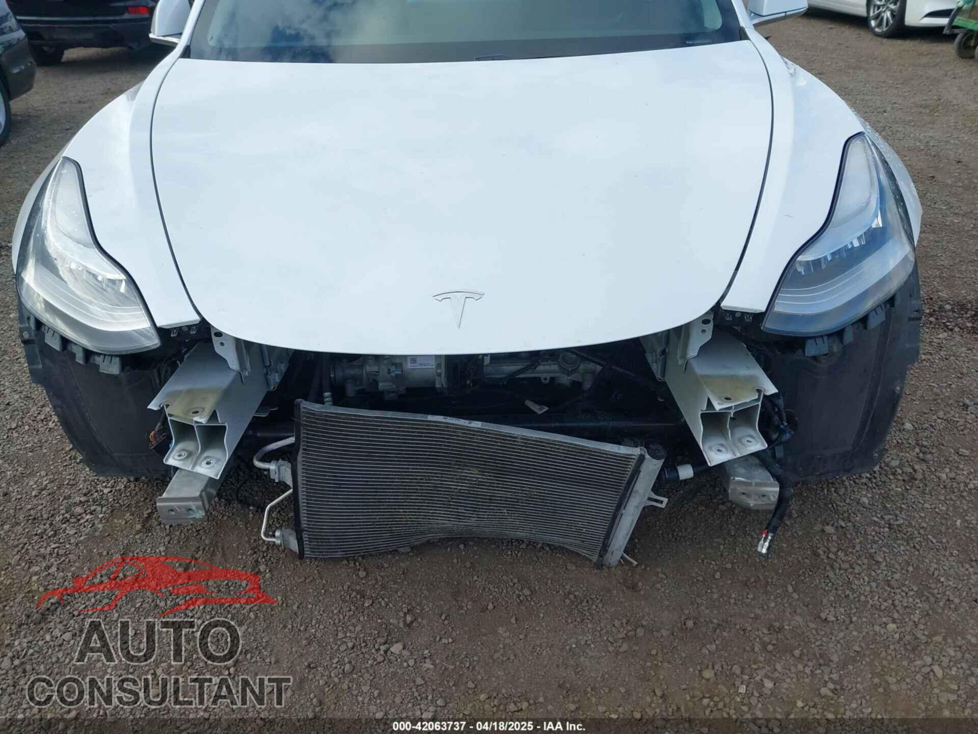 TESLA MODEL 3 2019 - 5YJ3E1EBXKF512710