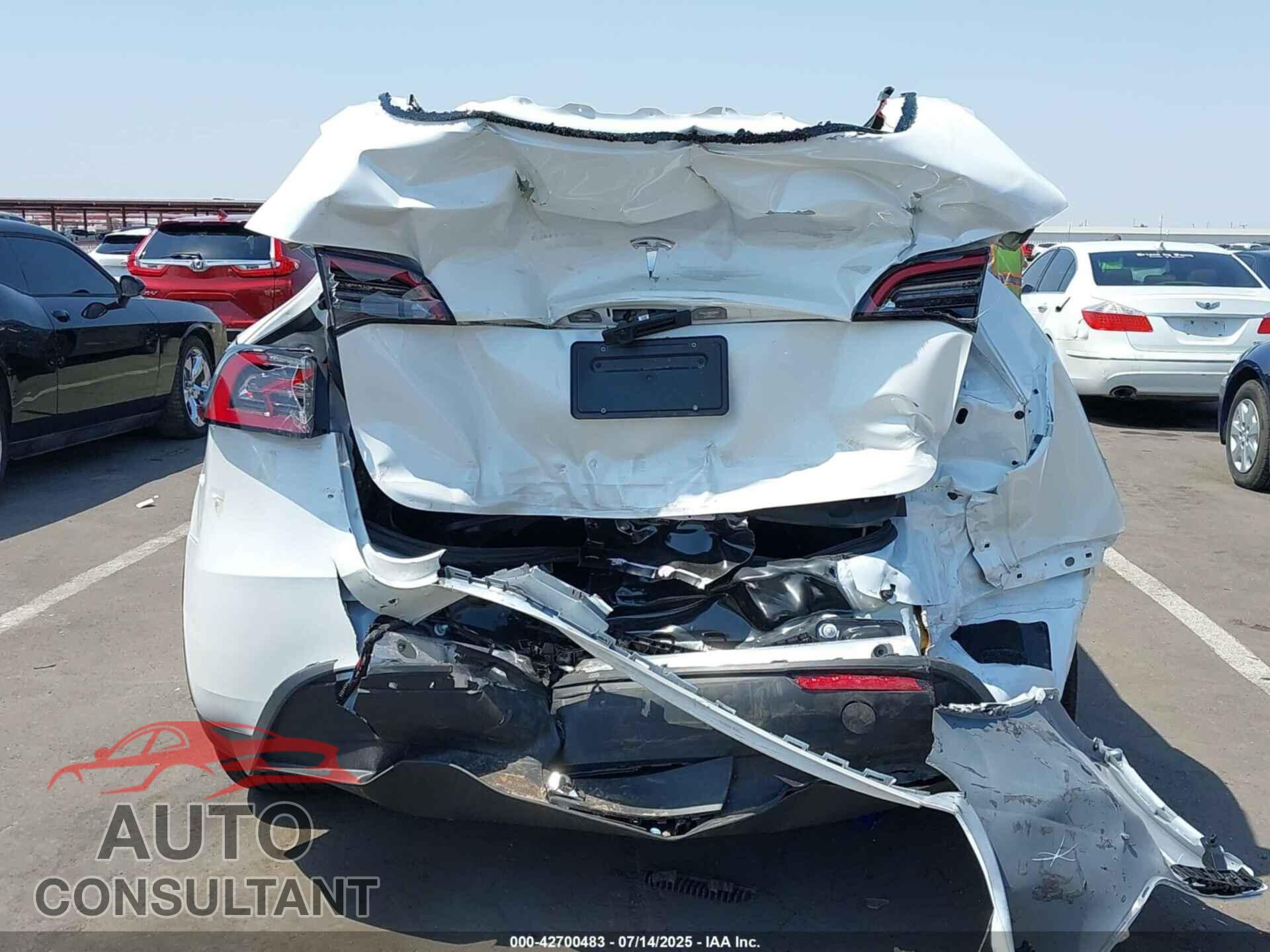 TESLA MODEL Y 2024 - 7SAYGDED8RF201955
