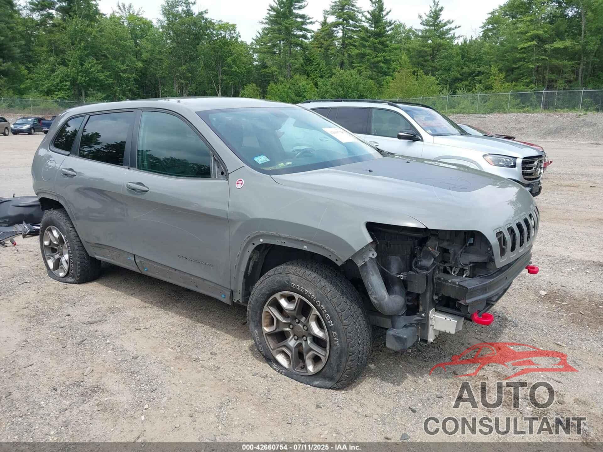 JEEP CHEROKEE 2019 - 1C4PJMBX9KD427329
