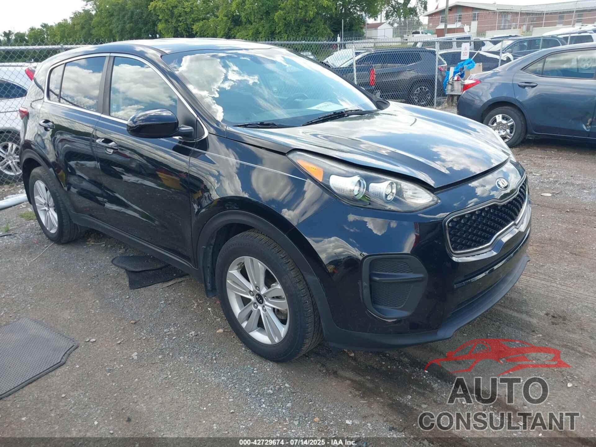 KIA SPORTAGE 2017 - KNDPM3AC3H7153066