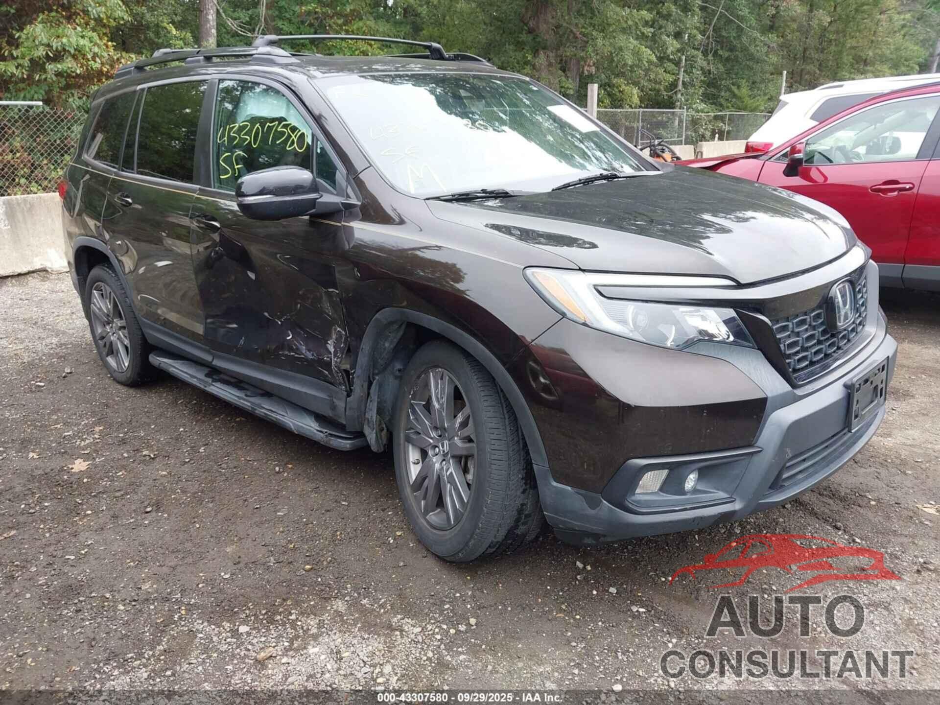 HONDA PASSPORT 2019 - 5FNYF8H52KB028919