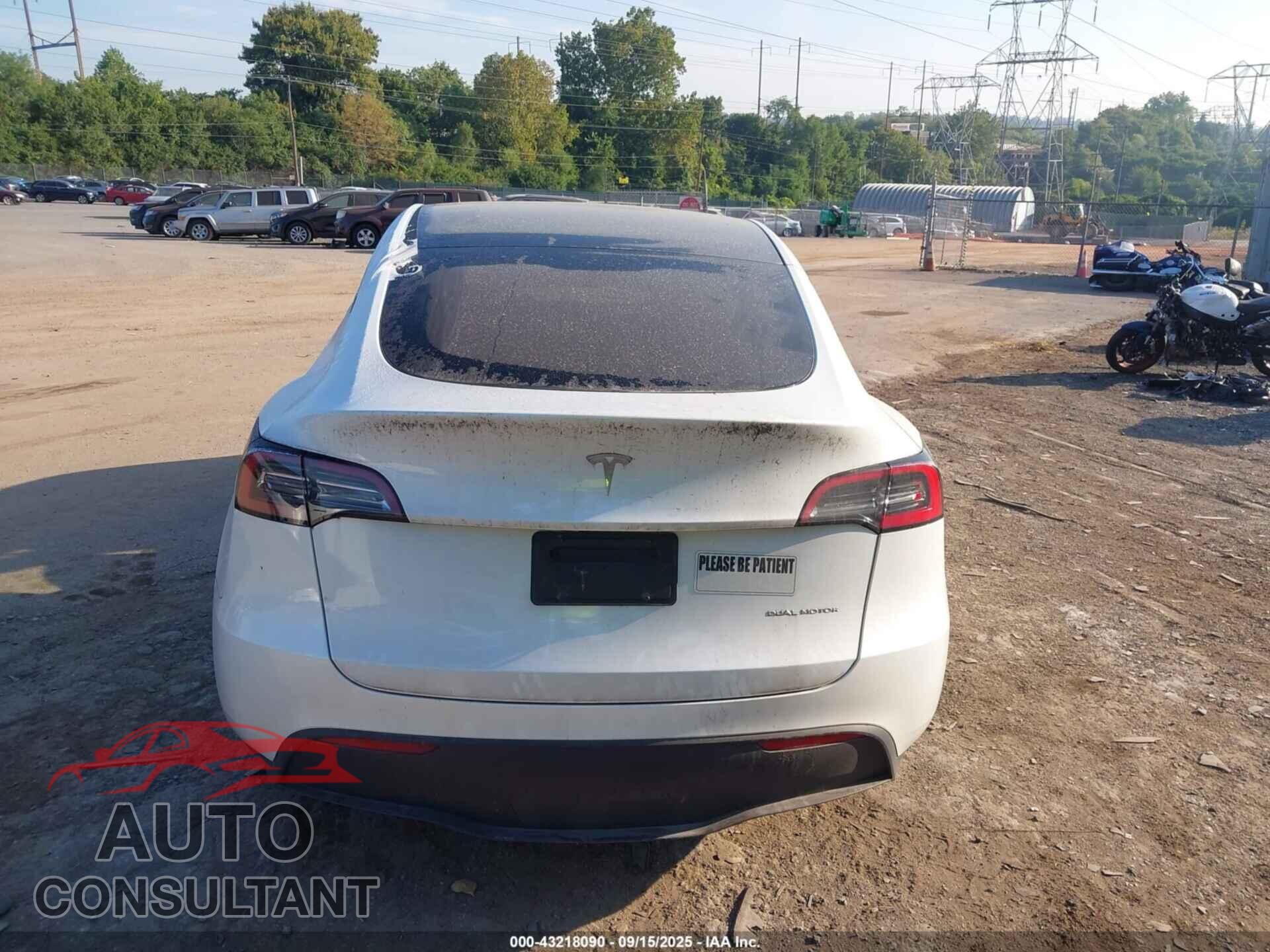TESLA MODEL Y 2023 - 7SAYGAEEXPF589727