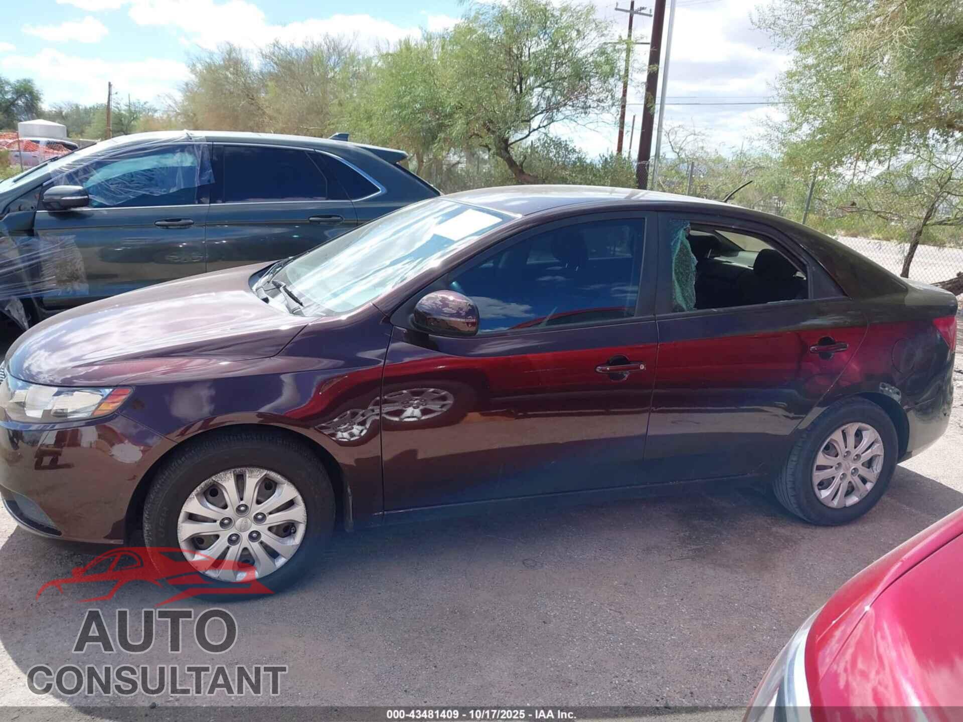 KIA FORTE 2011 - KNAFU4A28B5437480
