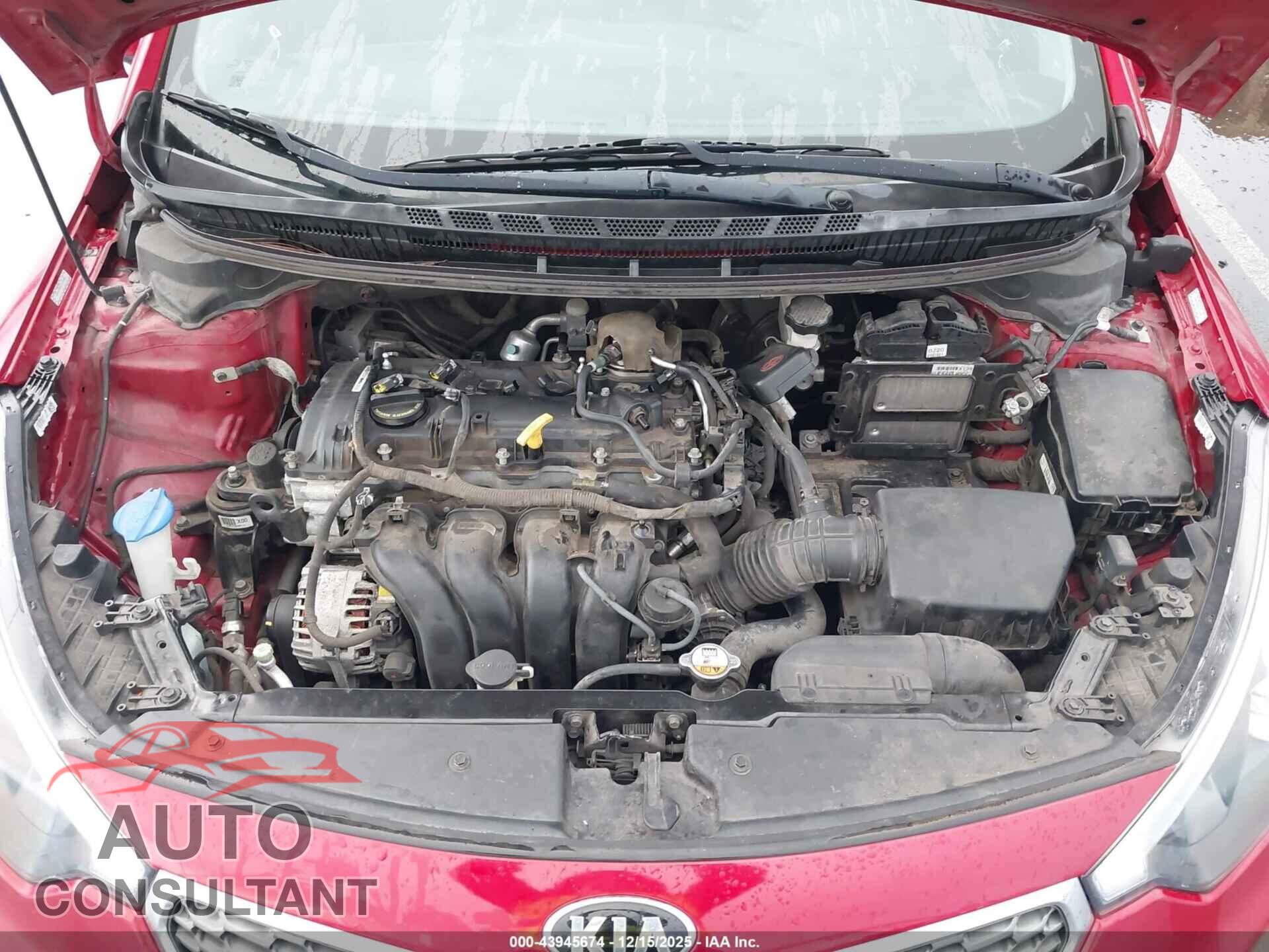 KIA FORTE 2014 - KNAFX4A80E5110085
