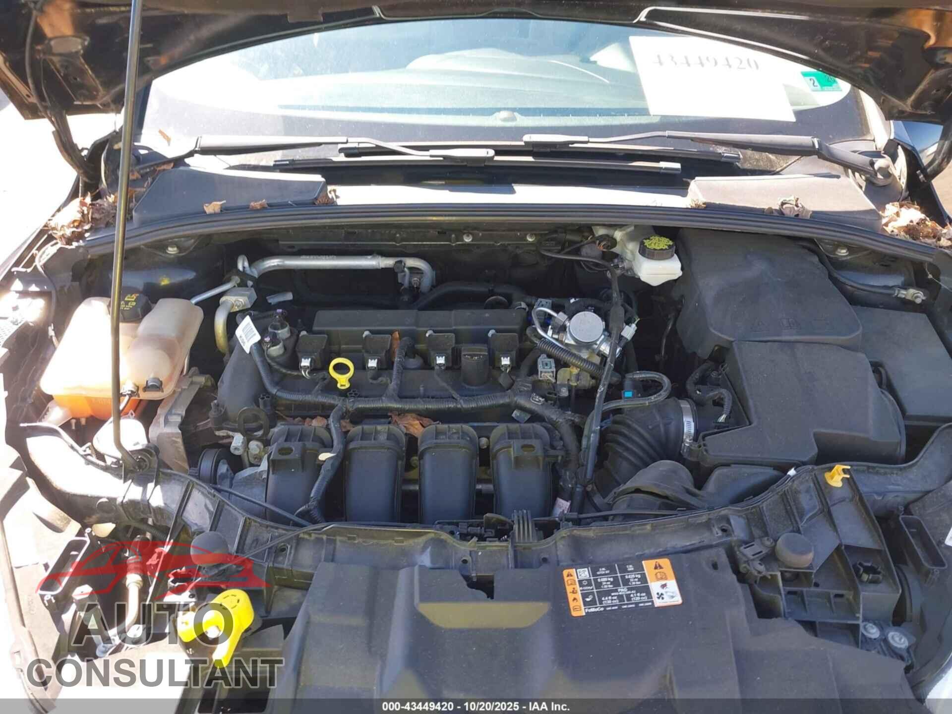 FORD FOCUS 2017 - 1FADP3K20HL248035