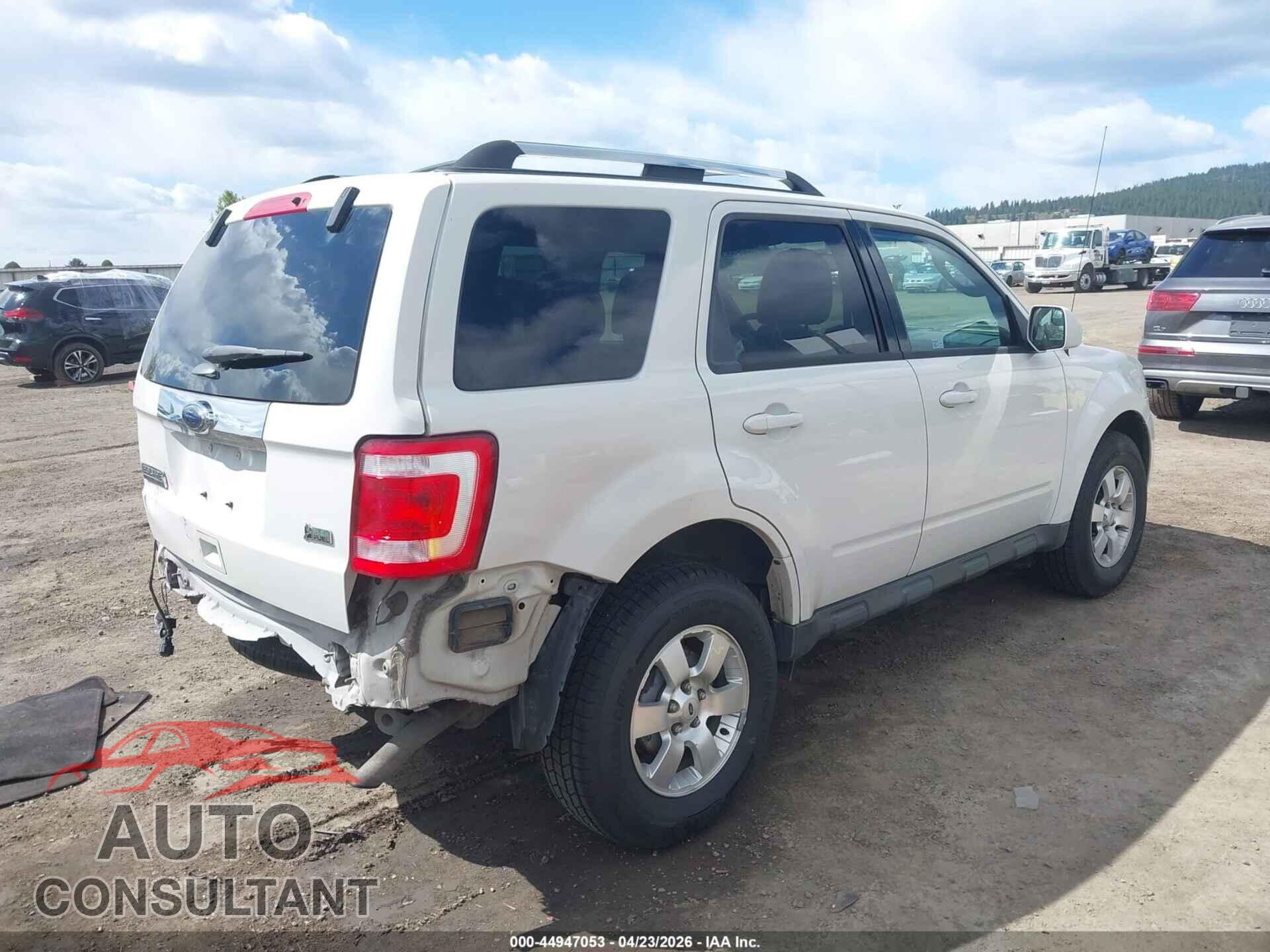 FORD ESCAPE 2011 - 1FMCU9EG3BKC13751